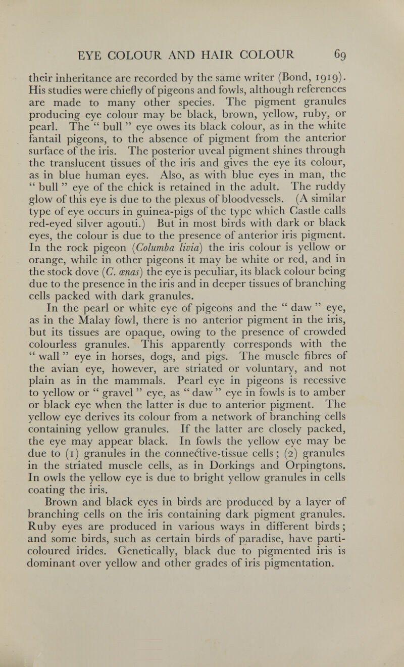 EYE COLOUR AND HAIR COLOUR 69 their inheritance are recorded by the same writer (Bond, 1919)' His studies were chiefly of pigeons and fowls, akhough references are made to many other species. The pigment granules producing eye colour may be black, brown, yellow, ruby, or pearl. The  bull  eye owes its black colour, as in the white fantail pigeons, to the absence of pigment from the anterior surface of the iris. The posterior uveal pigment shines through the translucent tissues of the iris and gives the eye its colour, as in blue human eyes. Also, as with blue eyes in man, the  bull  eye of the chick is retained in the adult. The ruddy glow of this eye is due to the plexus of bloodvessels. (A similar type of eye occurs in guinea-pigs of the type which Castle calls red-eyed silver agouti.) But in most birds with dark or black eyes, the colour is due to the presence of anterior iris pigment. In the rock pigeon {Columba livia) the iris colour is yellow or orange, while in other pigeons it may be white or red, and in the stock dove (C. œnas) the eye is peculiar, its black colour being due to the presence in the iris and in deeper tissues of branching cells packed with dark granules. In the pearl or white eye of pigeons and the  daw  eye, as in the Malay fowl, there is no anterior pigment in the iris, but its tissues are opaque, owing to the presence of crowded colourless granules. This apparently corresponds with the  wall  eye in horses, dogs, and pigs. The muscle fibres of the avian eye, however, are striated or voluntary, and not plain as in the mammals. Pearl eye in pigeons is recessive to yellow or  gravel  eye, as  daw  eye in fowls is to amber or black eye when the latter is due to anterior pigment. The yellow eye derives its colour from a network of branching cells containing yellow granules. If the latter are closely packed, the eye may appear black. In fowls the yellow eye may be due to (i) granules in the connedive-tissue cells; (2) granules in the striated muscle cells, as in Dorkings and Orpingtons. In owls the yellow eye is due to bright yellow granules in cells coating the iris. Brown and black eyes in birds are produced by a layer of branching cells on the iris containing dark pigment granules. Ruby eyes are produced in various ways in different birds ; and some birds, such as certain birds of paradise, have parti¬ coloured irides. Genetically, black due to pigmented iris is dominant over yellow and other grades of iris pigmentation.