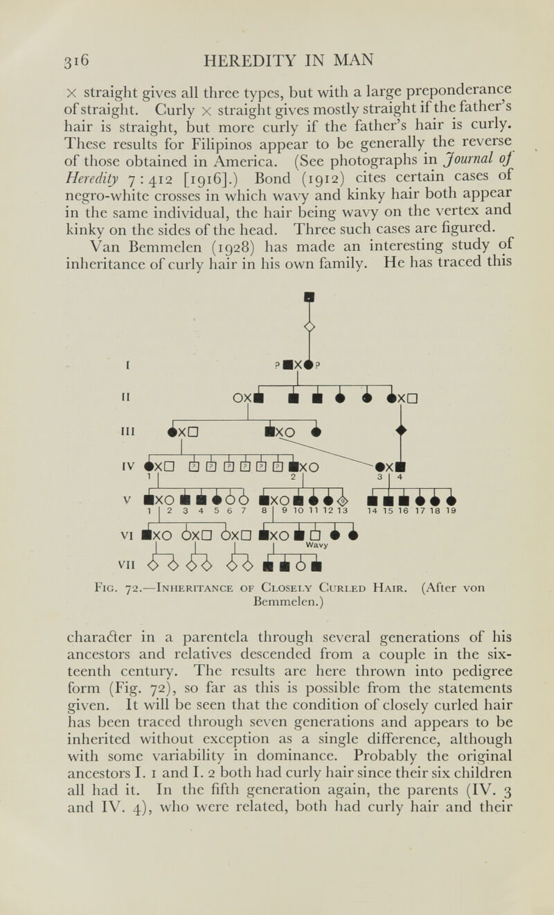 3i6 HEREDITY IN MAN X straight gives all three types, but with a large preponderance of straight. Curly x straight gives mostly straight if the father s hair is straight, but more curly if the father's hair is curly. These results for Filipinos appear to be generally the reverse of those obtained in America. (See photographs in Journal oj Heredity 7: 412 [1916].) Bond (1912) cites certain cases of negro-white crosses in which wavy and kinky hair both appear in the same individual, the hair being wavy on the vertex and kinky on the sides of the head. Three such cases are figured. Van Bemmelen (1928) has made an interesting study of inheritance of curly hair in his own family. He has traced this I I pBX^P II oxi iS~t i~ixa III ¿xD ixo i 112 3 4 5 6 7 81910111213 141516171819 VI áxo ¿XD ¿XD Éxo è Ó i 4 I j VII <5^ <Я> òb Fig. 72.—Inheritance of Closely Curled Hair. (After von Bemmelen.) character in a parentela through several generations of his ancestors and relatives descended from a couple in the six¬ teenth century. The results are here thrown into pedigree form (Fig. 72), so far as this is possible from the statements given. It will be seen that the condition of closely curled hair has been traced through seven generations and appears to be inherited without exception as a single difference, although with some variability in dominance. Probably the original ancestors I. i and I. 2 both had curly hair since their six children all had it. In the fifth generation again, the parents (IV. 3 and IV. 4), who were related, both had curly hair and their