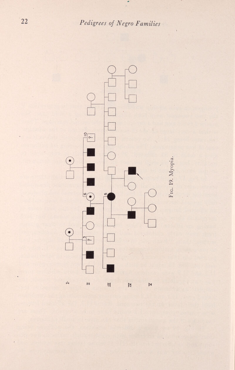 Pedigrees of Negro Families