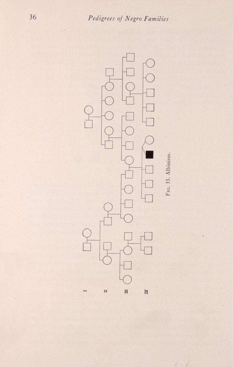 Fig. 35. Albinism.