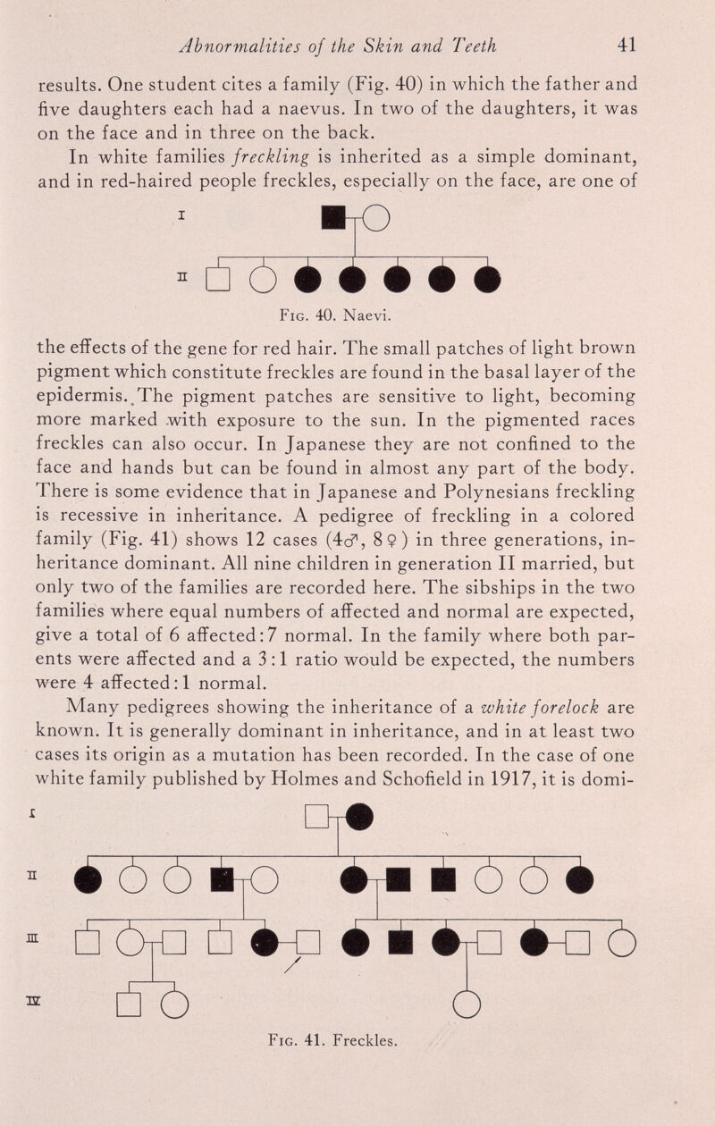 results. One student cites a family (Fig. 40) in which the father and five daughters each had a naevus. In two of the daughters, it was on the face and in three on the back. In white families freckling is inherited as a simple dominant, and in red-haired people freckles, especially on the face, are one of i n mo • • • • • Fig. 40. Naevi. the effects of the gene for red hair. The small patches of light brown pigment which constitute freckles are found in the basal layer of the epidermis. The pigment patches are sensitive to light, becoming more marked with exposure to the sun. In the pigmented races freckles can also occur. In Japanese they are not confined to the face and hands but can be found in almost any part of the body. There is some evidence that in Japanese and Polynesians freckling is recessive in inheritance. A pedigree of freckling in a colored family (Fig. 41) shows 12 cases (4c? , 8 9) in three generations, in heritance dominant. All nine children in generation II married, but only two of the families are recorded here. The sibships in the two families where equal numbers of affected and normal are expected, give a total of 6 affected:7 normal. In the family where both par ents were affected and a 3:1 ratio would be expected, the numbers were 4 affected :1 normal. Many pedigrees showing the inheritance of a white forelock are known. It is generally dominant in inheritance, and in at least two cases its origin as a mutation has been recorded. In the case of one white family published by Holmes and Schofield in 1917, it is domi- m is: Wfo o Fig. 41. Freckles.