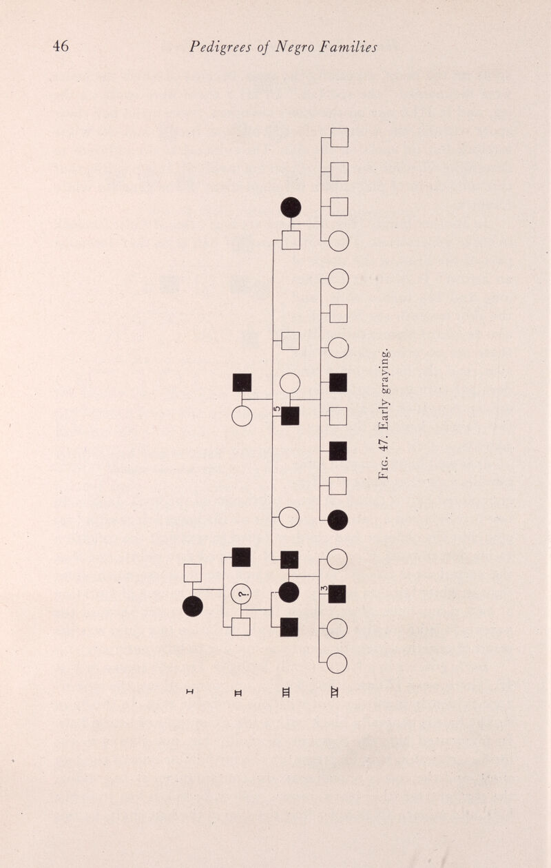 Fig. 47. Early graying.