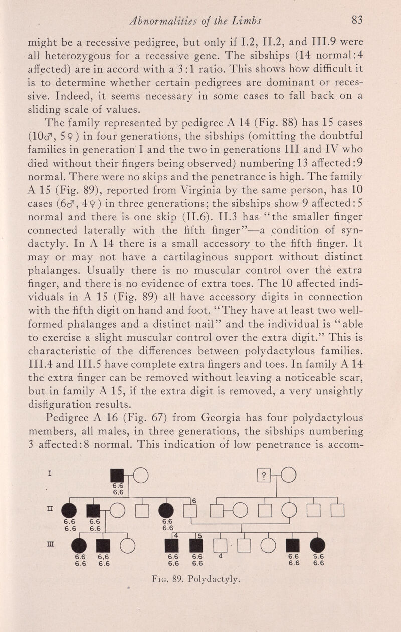 might be a recessive pedigree, but only if 1.2, II.2, and III.9 were all heterozygous for a recessive gene. The sibships (14 normal:4 affected) are in accord with a 3:1 ratio. This shows how difficult it is to determine whether certain pedigrees are dominant or reces sive. Indeed, it seems necessary in some cases to fall back on a sliding scale of values. The family represented by pedigree A 14 (Fig. 88) has 15 cases (lOd 71 , 5 9) in four generations, the sibships (omitting the doubtful families in generation I and the two in generations III and IV who died without their fingers being observed) numbering 13 affected :9 normal. There were no skips and the penetrance is high. The family A 15 (Fig. 89), reported from Virginia by the same person, has 10 cases (6cf, 49) in three generations; the sibships show 9 affected: 5 normal and there is one skip (II.6). II.3 has “the smaller finger connected laterally with the fifth finger”—a condition of syn dactyly. In A 14 there is a small accessory to the fifth finger. It may or may not have a cartilaginous support without distinct phalanges. Usually there is no muscular control over the extra finger, and there is no evidence of extra toes. The 10 affected indi viduals in A 15 (Fig. 89) all have accessory digits in connection with the fifth digit on hand and foot. “They have at least two well- formed phalanges and a distinct nail” and the individual is “able to exercise a slight muscular control over the extra digit.” This is characteristic of the differences between polydactylous families. III.4 and III.5 have complete extra fingers and toes. In family A 14 the extra finger can be removed without leaving a noticeable scar, but in family A 15, if the extra digit is removed, a very unsightly disfiguration results. Pedigree A 16 (Fig. 67) from Georgia has four polydactylous members, all males, in three generations, the sibships numbering 3 affected:8 normal. This indication of low penetrance is accom- 6.6 6.6 6.6 6.6 6.6 6.6 Fig. 89. Polydactyly.