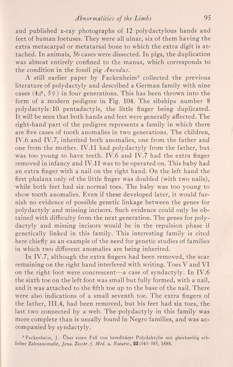 and published x-ray photographs of 12 polydactylous hands and feet of human foetuses. They were all ulnar, six of them having the extra metacarpal or metatarsal bone to which the extra digit is at tached. In animals, 36 cases were dissected. In pigs, the duplication was almost entirely confined to the manus, which corresponds to the condition in the fossil pig Ancodus. A still earlier paper by Fackenheim 2 collected the previous literature of polydactyly and described a German family with nine cases (4c?, 5 9) in four generations. This has been thrown into the form of a modern pedigree in Fig. 104. The sibships number 8 polydactyls: 10 pentadactyls, the little finger being duplicated. It will be seen that both hands and feet were generally affected. The right-hand part of the pedigree represents a family in which there are five cases of tooth anomalies in two generations. The children, IV.6 and IV.7, inherited both anomalies, one from the father and one from the mother. IV.11 had polydactyly from the father, but was too young to have teeth. IV.6 and IV.7 had the extra finger removed in infancy and IV.11 was to be operated on. This baby had an extra finger with a nail on the right hand. On the left hand the first phalanx only of the little finger was doubled (with two nails), while both feet had six normal toes. The baby was too young to show tooth anomalies. Even if these developed later, it would fur nish no evidence of possible genetic linkage between the genes for polydactyly and missing incisors. Such evidence could only be ob tained with difficulty from the next generation. The genes for poly dactyly and missing incisors would be in the repulsion phase if genetically linked in this family. This interesting family is cited here chiefly as an example of the need for genetic studies of families in which two different anomalies are being inherited. In IV.7, although the extra fingers had been removed, the scar remaining on the right hand interfered with writing. Toes V and VI on the right foot were concrescent—a case of syndactyly. In IV.6 the sixth toe on the left foot was small but fully formed, with a nail, and it was attached to the fifth toe up to the base of the nail. There were also indications of a small seventh toe. The extra fingers of the father, III.4, had been removed, but his feet had six toes, the last two connected by a web. The polydactyly in this family was more complete than is usually found in Negro families, and was ac companied by syndactyly. 2 Fackenheim, J.: Uber einen Fall von hereditärer Polydaktylie mit gleichzeitig erb licher Zahnanomalie, Jena. Ztschr. f. Med. u. Naturw., 22:343-385, 1888.