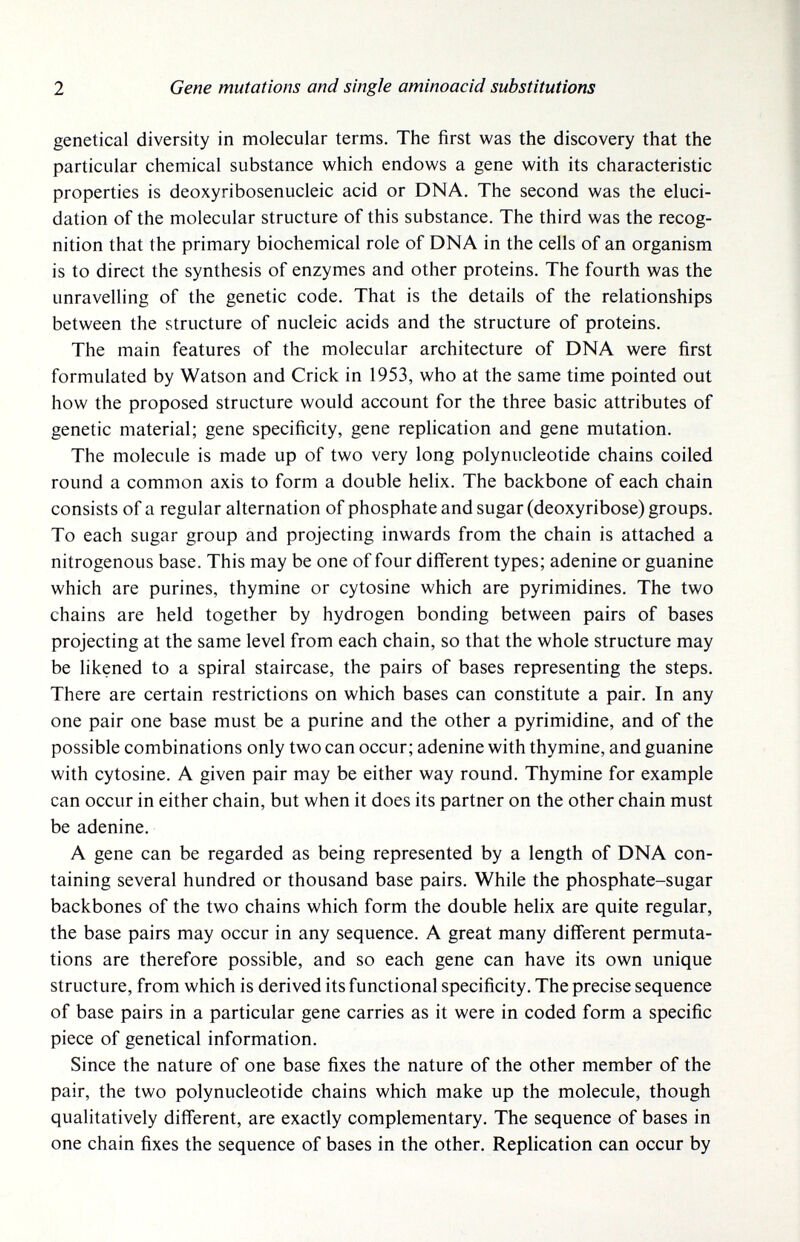 2 Gene mutations and single aminoacid substitutions genetical diversity in molecular terms. The first was the discovery that the particular chemical substance which endows a gene with its characteristic properties is deoxyribosenucleic acid or DNA. The second was the eluci¬ dation of the molecular structure of this substance. The third was the recog¬ nition that the primary biochemical role of DNA in the cells of an organism is to direct the synthesis of enzymes and other proteins. The fourth was the unravelling of the genetic code. That is the details of the relationships between the structure of nucleic acids and the structure of proteins. The main features of the molecular architecture of DNA were first formulated by Watson and Crick in 1953, who at the same time pointed out how the proposed structure would account for the three basic attributes of genetic material; gene specificity, gene replication and gene mutation. The molecule is made up of two very long polynucleotide chains coiled round a common axis to form a double helix. The backbone of each chain consists of a regular alternation of phosphate and sugar (deoxyribose) groups. To each sugar group and projecting inwards from the chain is attached a nitrogenous base. This may be one of four different types; adenine or guanine which are purines, thymine or cytosine which are pyrimidines. The two chains are held together by hydrogen bonding between pairs of bases projecting at the same level from each chain, so that the whole structure may be likened to a spiral staircase, the pairs of bases representing the steps. There are certain restrictions on which bases can constitute a pair. In any one pair one base must be a purine and the other a pyrimidine, and of the possible combinations only two can occur; adenine with thymine, and guanine with cytosine. A given pair may be either way round. Thymine for example can occur in either chain, but when it does its partner on the other chain must be adenine. A gene can be regarded as being represented by a length of DNA con¬ taining several hundred or thousand base pairs. While the phosphate-sugar backbones of the two chains which form the double helix are quite regular, the base pairs may occur in any sequence. A great many different permuta¬ tions are therefore possible, and so each gene can have its own unique structure, from which is derived its functional specificity. The precise sequence of base pairs in a particular gene carries as it were in coded form a specific piece of genetical information. Since the nature of one base fixes the nature of the other member of the pair, the two polynucleotide chains which make up the molecule, though qualitatively different, are exactly complementary. The sequence of bases in one chain fixes the sequence of bases in the other. Replication can occur by