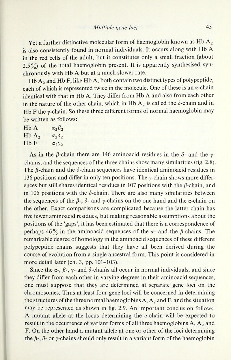 Multiple gene loei 43 Yet a further distinctive molecular form of haemoglobin known as Hb A2 is also consistently found in normal individuals. It occurs along with Hb A in the red cells of the adult, but it constitutes only a small fraction (about 2.5 %) of the total haemoglobin present. It is apparently synthesised syn¬ chronously with Hb A but at a much slower rate. Hb A2 and Hb F, like Hb A, both contain two distinct types of polypeptide, each of which is represented twice in the molecule. One of these is an a-chain identical with that in Hb A. They differ from Hb A and also from each other in the nature of the other chain, which in Hb A2 is called the ¿-chain and in Hb F the 7-chain. So these three different forms of normal haemoglobin may be written as follows: Hb A (X2ß2 Hb A2 ^2^2 Hb F а2У2 As in the j?-chain there are 146 aminoacid residues in the <5- and the y- chains, and the sequences of the three chains show many similarities (fig. 2.8). The j5-chain and the ¿-chain sequences have identical aminoacid residues in 136 positions and differ in only ten positions. The y-chain shows more differ¬ ences but still shares identical residues in 107 positions with the j9-chain, and in 105 positions with the <5-chain. There are also many similaiities between the sequences of the ß-, <5- and y-chains on the one hand and the a-chain on the other. Exact comparisons are complicated because the latter chain has five fewer aminoacid residues, but making reasonable assumptions about the positions of the 'gaps', it has been estimated that there is a correspondence of perhaps 46% in the aminoacid sequences of the a- and the jß-chains. The remarkable degree of homology in the aminoacid sequences of these different polypeptide chains suggests that they have all been derived during the course of evolution from a single ancestral form. This point is considered in more detail later (ch. 3, pp. 101-103). Since the a-, ß-, y- and (5-chairis all occur in normal individuals, and since they differ from each other in varying degrees in their aminoacid sequences, one must suppose that they are determined at separate gene loci on the chromosomes. Thus at least four gene loci will be concerned in determining the structures of the three normal haemoglobins A, A2 and F, and the situation may be represented as shown in fig. 2.9. An important conclusion follows. A mutant allele at the locus determining the a-chain will be expected to result in the occurrence of variant forms of all three haemoglobins A, A2 and F. On the other hand a mutant allele at one or other of the loci determining the ß-, Ô- or y-chains should only result in a variant form of the haemoglobin