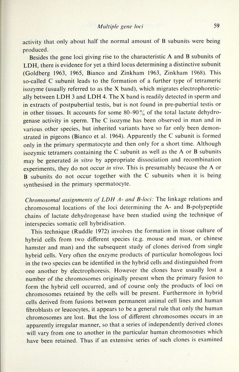 Multiple gene hei 59 activity that only about half the normal amount of В subunits were being produced. Besides the gene loci giving rise to the characteristic A and В subunits of LDH, there is evidence for yet a third locus determining a distinctive subunit (Goldberg 1963, 1965, Bianco and Zinkham 1963, Zinkham 1968). This so-called С subunit leads to the formation of a further type of tetrameric isozyme (usually referred to as the X band), which migrates electrophoretic- ally between LDH 3 and LDH 4. The X band is readily detected in sperm and in extracts of postpubertial testis, but is not found in pre-pubertial testis or in other tissues. It accounts for some 80-90% of the total lactate dehydro¬ genase activity in sperm. The С isozyme has been observed in man and in various other species, but inherited variants have so far only been demon¬ strated in pigeons (Bianco et al. 1964). Apparently the С subunit is formed only in the primary spermatocyte and then only for a short time. Although isozymic tetramers containing the С subunit as well as the A or В subunits may be generated in vitro by appropriate dissociation and recombination experiments, they do not occur in vivo. This is presumably because the A or В subunits do not occur together with the С subunits when it is being synthesised in the primary spermatocyte. Chromosomal assignments of LDH A- and B-loei: The linkage relations and chromosomal locations of the loci determining the A- and B-polypeptide chains of lactate dehydrogenase have been studied using the technique of interspecies somatic cell hybridisation. This technique (Ruddle 1972) involves the formation in tissue culture of hybrid cells from two different species (e.g. mouse and man, or Chinese hamster and man) and the subsequent study of clones derived from single hybrid cells. Very often the enzyme products of particular homologous loci in the two species can be identified in the hybrid cells and distinguished from one another by electrophoresis. However the clones have usually lost a number of the chromosomes originally present when the primary fusion to form the hybrid cell occurred, and of course only the products of loci on chromosomes retained by the cells will be present. Furthermore in hybrid cells derived from fusions between permanent animal cell lines and human fibroblasts or leucocytes, it appears to be a general rule that only the human chromosomes are lost. But the loss of different chromosomes occurs in an apparently irregular manner, so that a series of independently derived clones will vary from one to another in the particular human chromosomes which have been retained. Thus if an extensive series of such clones is examined