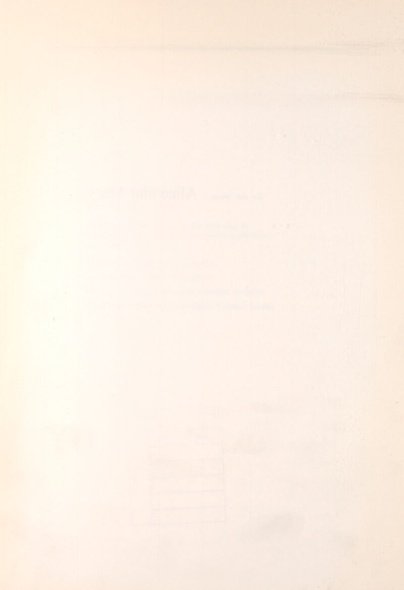 »ЛШ^ tf. I -> №■, -