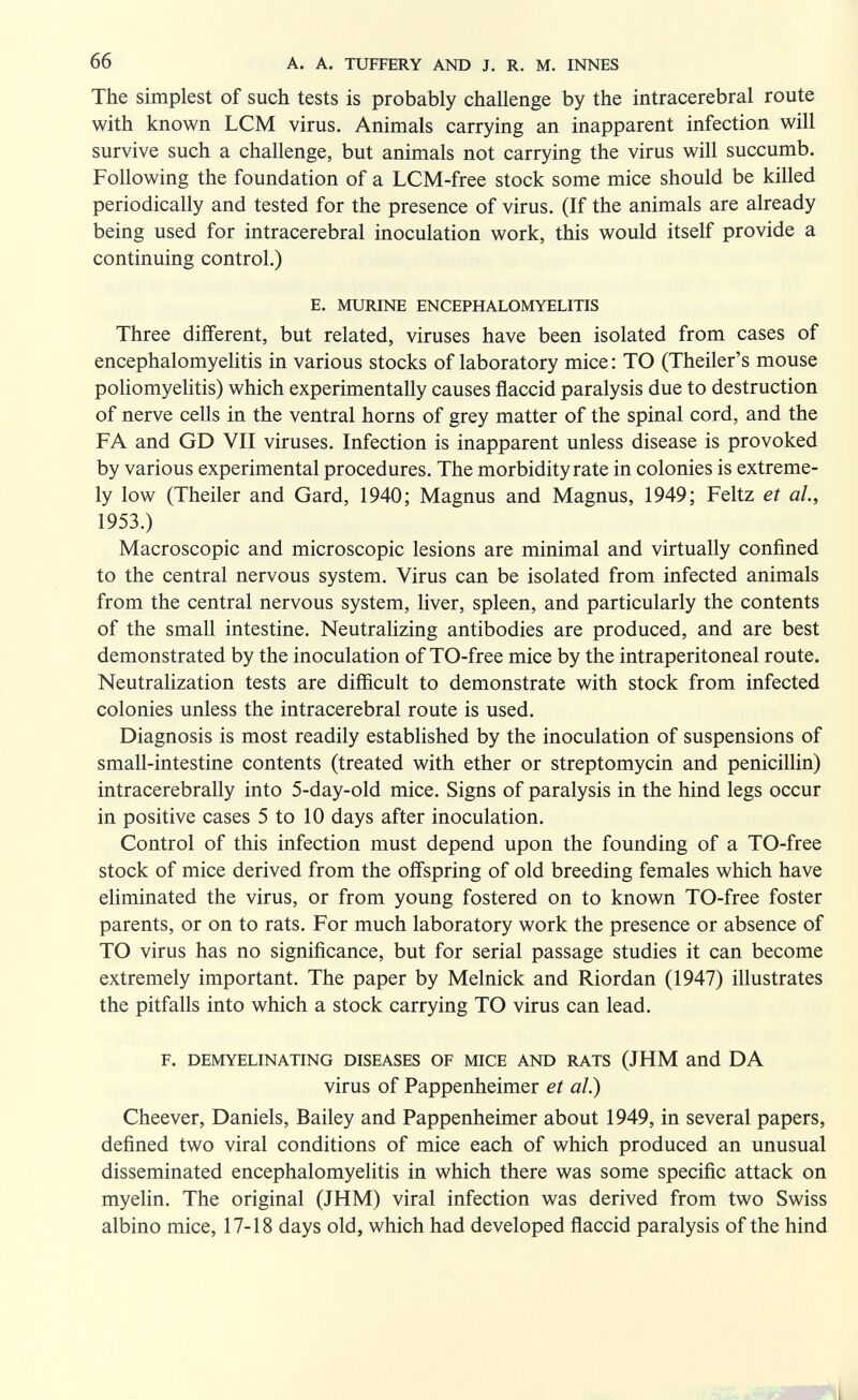 66 A. A. TUFFERY AND J. R. M. INNES The simplest of such tests is probably challenge by the intracerebral route with known LCM virus. Animals carrying an inapparent infection will survive such a challenge, but япттяк not carrying the virus will succumb. Following the foundation of a LCM-free stock some mice should be killed periodically and tested for the presence of virus. (If the animals are already being used for intracerebral inoculation work, this would itself provide a continuing control.) E. MURINE ENCEPHALOMYELITIS Three different, but related, viruses have been isolated from cases of encephalomyelitis in various stocks of laboratory mice : TO (Theiler's mouse poliomyelitis) which experimentally causes flaccid paralysis due to destruction of nerve cells in the ventral horns of grey matter of the spinal cord, and the FA and GD VII viruses. Infection is inapparent unless disease is provoked by various experimental procedures. The morbidity rate in colonies is extreme¬ ly low (Theiler and Gard, 1940; Magnus and Magnus, 1949; Feltz et al., 1953.) Macroscopic and microscopic lesions are minimal and virtually confined to the central nervous system. Virus can be isolated from infected animals from the central nervous system, liver, spleen, and particularly the contents of the small intestine. Neutralizing antibodies are produced, and are best demonstrated by the inoculation of TO-free mice by the intraperitoneal route. Neutrahzation tests are difficult to demonstrate with stock from infected colonies unless the intracerebral route is used. Diagnosis is most readily estabhshed by the inoculation of suspensions of small-intestine contents (treated with ether or streptomycin and penicillin) intracerebrally into 5-day-old mice. Signs of paralysis in the hind legs occur in positive cases 5 to 10 days after inoculation. Control of this infection must depend upon the founding of a TO-free stock of mice derived from the offspring of old breeding females which have eliminated the virus, or from young fostered on to known TO-free foster parents, or on to rats. For much laboratory work the presence or absence of TO virus has no significance, but for serial passage studies it can become extremely important. The paper by Melnick and Riordan (1947) illustrates the pitfalls into which a stock carrying TO virus can lead. F. DEMYELINATING DISEASES OF MICE AND RATS (JHM and DA virus of Pappenheimer et al.) Cheever, Daniels, Bailey and Pappenheimer about 1949, in several papers, defined two viral conditions of mice each of which produced an unusual disseminated encephalomyelitis in which there was some specific attack on myelin. The original (JHM) viral infection was derived from two Swiss albino mice, 17-18 days old, which had developed flaccid paralysis of the hind