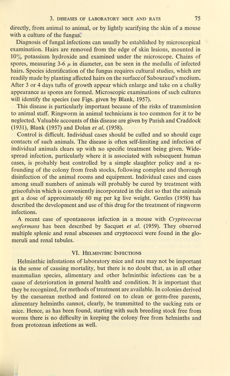 3. diseases of laboratory mice and rats 75 directly, from animal to animal, or by lightly scarifying the skin of a mouse with a culture of the fungus. Diagnosis of fungal infections can usually be established by microscopical examination. Hairs are removed from the edge of skin lesions, mounted in 10% potassium hydroxide and examined under the microscope. Chains of spores, measuring 3-6 ju, in diameter, can be seen in the medulla of infected hairs. Species identification of the fungus requires cultural studies, which are readily made by planting affected hairs on the surface of Sabouraud's medium. After 3 or 4 days tufts of growth appear which enlarge and take on a chalky appearance as spores are formed. Microscopic examinations of such cultures will identify the species (see Figs, given by Blank, 1957). This disease is particularly important because of the risks of transmission to animal staff. Ringworm in animal technicians is too common for it to be neglected. Valuable accounts of this disease are given by Parish and Craddock (1931), Blank (1957) and Dolan et al (1958). Control is difficult. Individual cases should be culled and so should cage contacts of such animals. The disease is often self-limiting and infection of individual animals clears up with no specific treatment being given. Wide¬ spread infection, particularly where it is associated with subsequent human cases, is probably best controlled by a simple slaughter policy and a re- founding of the colony from fresh stocks, following complete and thorough disinfection of the animal rooms and equipment. Individual cases and cases among small numbers of animals will probably be cured by treatment with griseofulvin which is conveniently incorporated in the diet so that the animals get a dose of approximately 60 mg per kg live weight. Gentles (1958) has described the development and use of this drug for the treatment of ringworm infections. A recent case of spontaneous infection in a mouse with Cryptococcus neoformans has been described by Sacquet et al. (1959). They observed multiple splenic and renal abscesses and cryptococci were found in the glo¬ meruli and renal tubules. VI. Helminthic Infections Helminthic infestations of laboratory mice and rats may not be important in the sense of causing mortality, but there is no doubt that, as in all other mammalian species, alimentary and other helminthic infections can be a cause of deterioration in general health and condition. It is important that they be recognized, for methods of treatment are available. In colonies derived by the caesarean method and fostered on to clean or germ-free parents, alimentary helminths cannot, clearly, be transmitted to the sucking rats or mice. Hence, as has been found, starting with such breeding stock free from worms there is no difficulty in keeping the colony free from helminths and from protozoan infections as well.