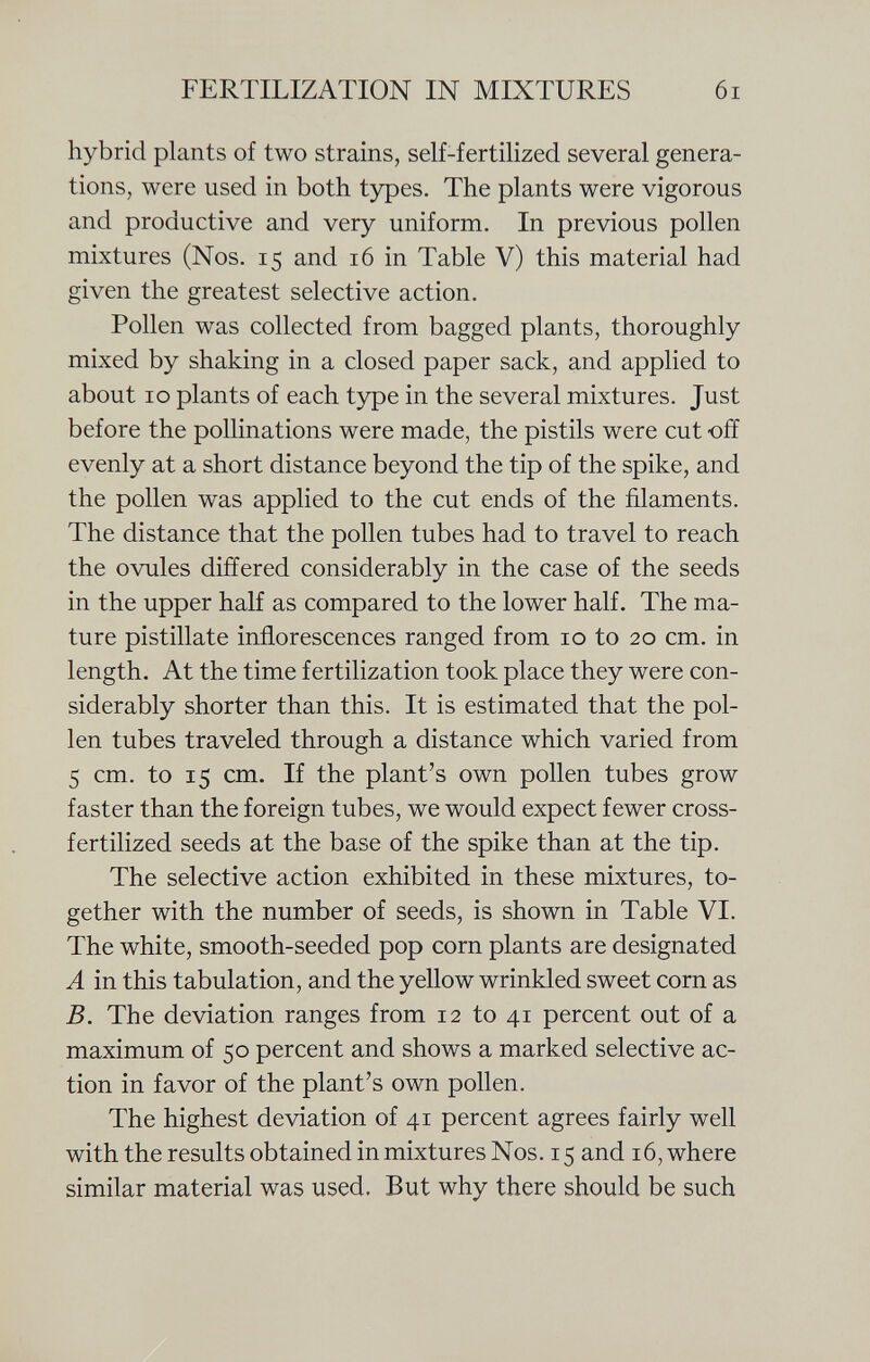 hybrid plants of two strains, self-fertilized several genera tions, were used in both types. The plants were vigorous and productive and very uniform. In previous pollen mixtures (Nos. 15 and 16 in Table V) this material had given the greatest selective action. Pollen was collected from bagged plants, thoroughly mixed by shaking in a closed paper sack, and applied to about 10 plants of each type in the several mixtures. Just before the pollinations were made, the pistils were cut off evenly at a short distance beyond the tip of the spike, and the pollen was applied to the cut ends of the filaments. The distance that the pollen tubes had to travel to reach the ovules differed considerably in the case of the seeds in the upper half as compared to the lower half. The ma ture pistillate inflorescences ranged from 10 to 20 cm. in length. At the time fertilization took place they were con siderably shorter than this. It is estimated that the pol len tubes traveled through a distance which varied from 5 cm. to 15 cm. If the plant's own pollen tubes grow faster than the foreign tubes, we would expect fewer cross- fertilized seeds at the base of the spike than at the tip. The selective action exhibited in these mixtures, to gether with the number of seeds, is shown in Table VI. The white, smooth-seeded pop corn plants are designated A in this tabulation, and the yellow wrinkled sweet corn as B. The deviation ranges from 12 to 41 percent out of a maximum of 50 percent and shows a marked selective ac tion in favor of the plant's own pollen. The highest deviation of 41 percent agrees fairly well with the results obtained in mixtures Nos. 15 and 16, where similar material was used. But why there should be such