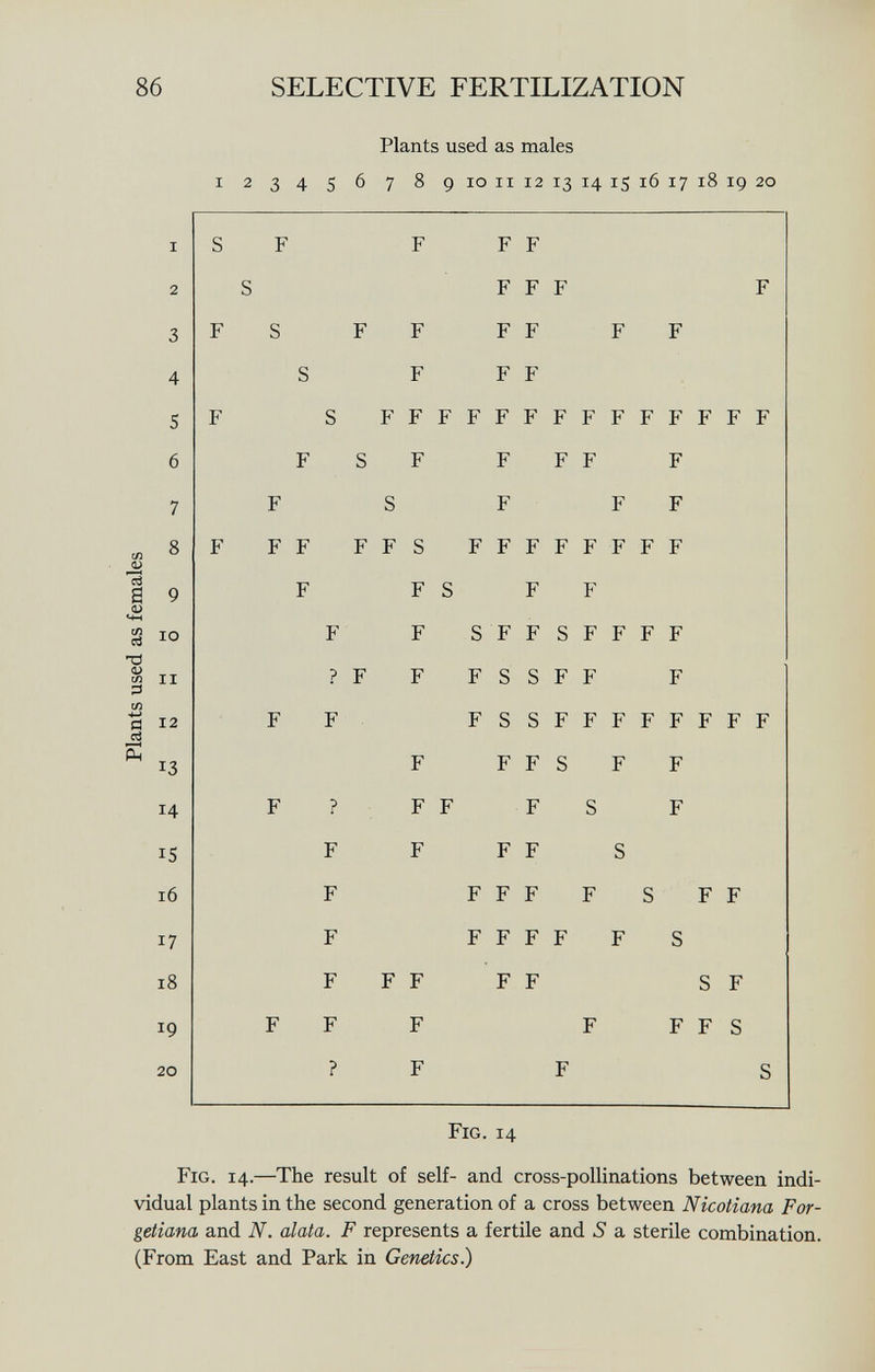 i 2 3 4 S 6 Plants used as maies 7 8 9 10 il 12 13 14 15 16 17 18 19 20 i S F F F F 2 S F F F F 3 F S F F F F F F 4 S F F F 5 F S F F F F F F F F F F F F F F 6 F S F F F F F 7 F S F F F 8 F F F F F S F F F F F F F F 9 F F S F F 10 F F S F F S F F F F h ? F F F S S F F F 12 F F F S S F F F F F F F F 13 F F F S F F 14 F ? F F F S F 15 F F F F S 16 F F F F F S F F 17 F F F F F F S 18 F F F F F S F 19 F F F F F F S 20 ? F F S F ig. 14 F ig. 14. —The result of self- and cross-pollinations between indi vidual plants in the second generation of a cross between Nicotiana For- getiana and N. alata. F represents a fertile and S a sterile combination. (From East and Park in Genetics.)