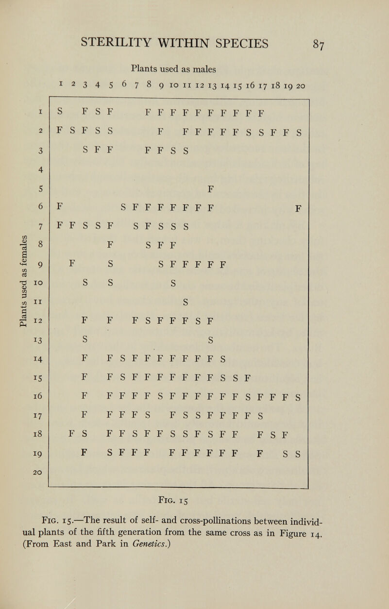 Plants used as males 1 2 3 4 S 6 7 8 9 io ii 12 13 14 15 16 17 18 19 20 S F S F FFFFFFFFFF F S F S S F FFFFFSSFFS S F F F F S S F S F F F F F F F F S S F S F S S S F S F F S S F F F F F s S S S F F F S F F F S F S S F F S F F F F F F F S F F S F F F F F F F S S F F F F F F S F F F F F F S F F F S F F F F S F S S F F F F S S F F S F F S S F S F F F S F F S F F F F F F F F F F S S Fig. is g. 15. —The result of self- and cross-pollinations between indi' nts of the fifth generation from the same cross as in Figure East and Park in Genetics.)