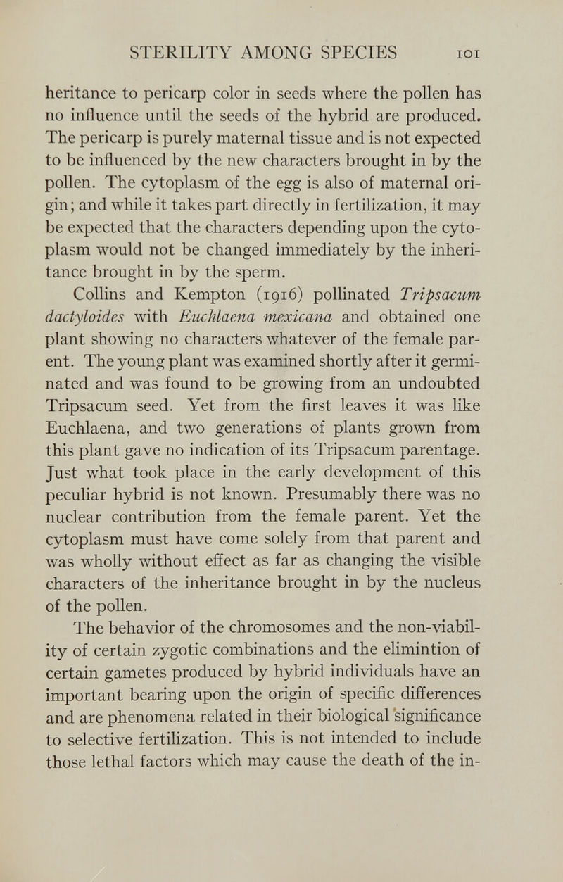 heritance to pericarp color in seeds where the pollen has no influence until the seeds of the hybrid are produced. The pericarp is purely maternal tissue and is not expected to be influenced by the new characters brought in by the pollen. The cytoplasm of the egg is also of maternal ori gin; and while it takes part directly in fertilization, it may be expected that the characters depending upon the cyto plasm would not be changed immediately by the inheri tance brought in by the sperm. Collins and Kempton (1916) pollinated Tripsacum dactyloides with Euchlaena mexicana and obtained one plant showing no characters whatever of the female par ent. The young plant was examined shortly after it germi nated and was found to be growing from an undoubted Tripsacum seed. Yet from the first leaves it was like Euchlaena, and two generations of plants grown from this plant gave no indication of its Tripsacum parentage. Just what took place in the early development of this peculiar hybrid is not known. Presumably there was no nuclear contribution from the female parent. Yet the cytoplasm must have come solely from that parent and was wholly without effect as far as changing the visible characters of the inheritance brought in by the nucleus of the pollen. The behavior of the chromosomes and the non-viabil ity of certain zygotic combinations and the elimintion of certain gametes produced by hybrid individuals have an important bearing upon the origin of specific differences and are phenomena related in their biological significance to selective fertilization. This is not intended to include those lethal factors which may cause the death of the in-