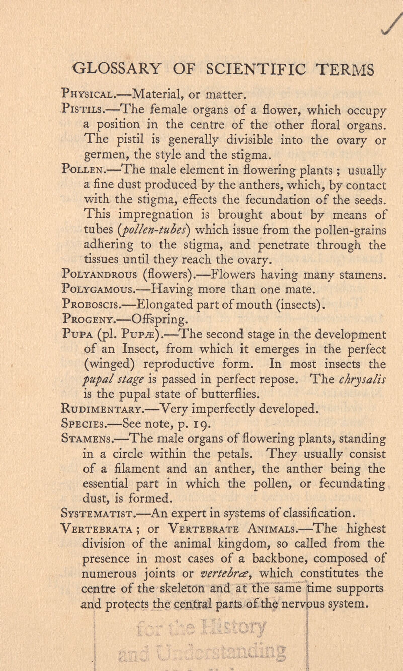 y GLOSSARY OF SCIENTIFIC TERMS Physical.— Material, or matter. Pistils.— The female organs of a flower, which occupy a position in the centre of the other floral organs. The pistil is generally divisible into the ovary or germen, the style and the stigma. Pollen.— The male element in flowering plants ; usually a fine dust produced by the anthers, which, by contact with the stigma, effects the fecundation of the seeds. This impregnation is brought about by means of tubes {pollen-tubes) which issue from the pollen-grains adhering to the stigma, and penetrate through the tissues until they reach the ovary. Polyandrous (flowers).—Flowers having many stamens. Polygamous.— Having more than one mate. Proboscis.— Elongated part of mouth (insects). Progeny.— Offspring. Pupa (pi. Pupje).— The second stage in the development of an Insect, from which it emerges in the perfect (winged) reproductive form. In most insects the pupal stage is passed in perfect repose. The chrysalis is the pupal state of butterflies. Rudimentary.— Very imperfectly developed. Species.— See note, p. 19. Stamens.— The male organs of flowering plants, standing in a circle within the petals. They usually consist of a filament and an anther, the anther being the essential part in which the pollen, or fecundating dust, is formed. Systematist.— An expert in systems of classification. Vertebrata ; or Vertebrate Animals.— The highest division of the animal kingdom, so called from the presence in most cases of a backbone, composed of numerous joints or vertebres , which constitutes the centre of the skeleton and at the same time supports and protects the central parts of the nervous system.