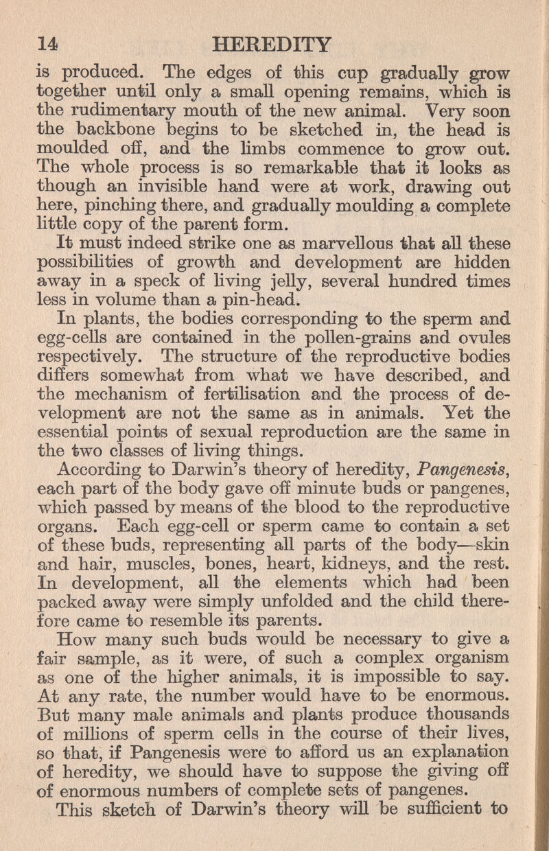 14 HEREDITY is produced. The edges of this cup gradually grow together until only a small opening remains, which is the rudimentary mouth of the new animal. Very soon the backbone begins to be sketched in, the head is moulded off, and the hmbs commence to grow out. The whole process is so remarkable that it looks as though an invisible hand were at work, drawing out here, pinching there, and gradually moulding a complete little copy of the parent form. It must indeed strike one as marvellous that all these possibihties of growth and development are hidden away in a speck of hving jelly, several hundred times less in volume than a pin-head. In plants, the bodies corresponding to the sperm and egg-cells are contained in the pollen-grains and ovules respectively. The structure of the reproductive bodies differs somewhat from what we have described, and the mechanism of fertihsation and the process of de¬ velopment are not the same as in animals. Yet the essential points of sexual reproduction are the same in the two classes of hving things. According to Darwin's theory of heredity, Pangenesis, each part of the body gave off minute buds or pangenes, which passed by means of the blood to the reproductive organs. Each egg-cell or sperm came to contain a set of these buds, representing all parts of the body—skin and hair, muscles, bones, heart, kidneys, and the rest. In development, all the elements which had been packed away were simply unfolded and the child there¬ fore came to resemble its parents. How many such buds would be necessary to give a fair sample, as it were, of such a complex organism as one of the higher animals, it is impossible to say. At any rate, the number would have to be enormous. But many male animals and plants produce thousands of millions of sperm cells in the course of their lives, so that, if Pangenesis were to afford us an explanation of heredity, we should have to suppose the giving off of enormous numbers of complete sets of pangenes. This sketch of Darwin's theory will be sufficient to