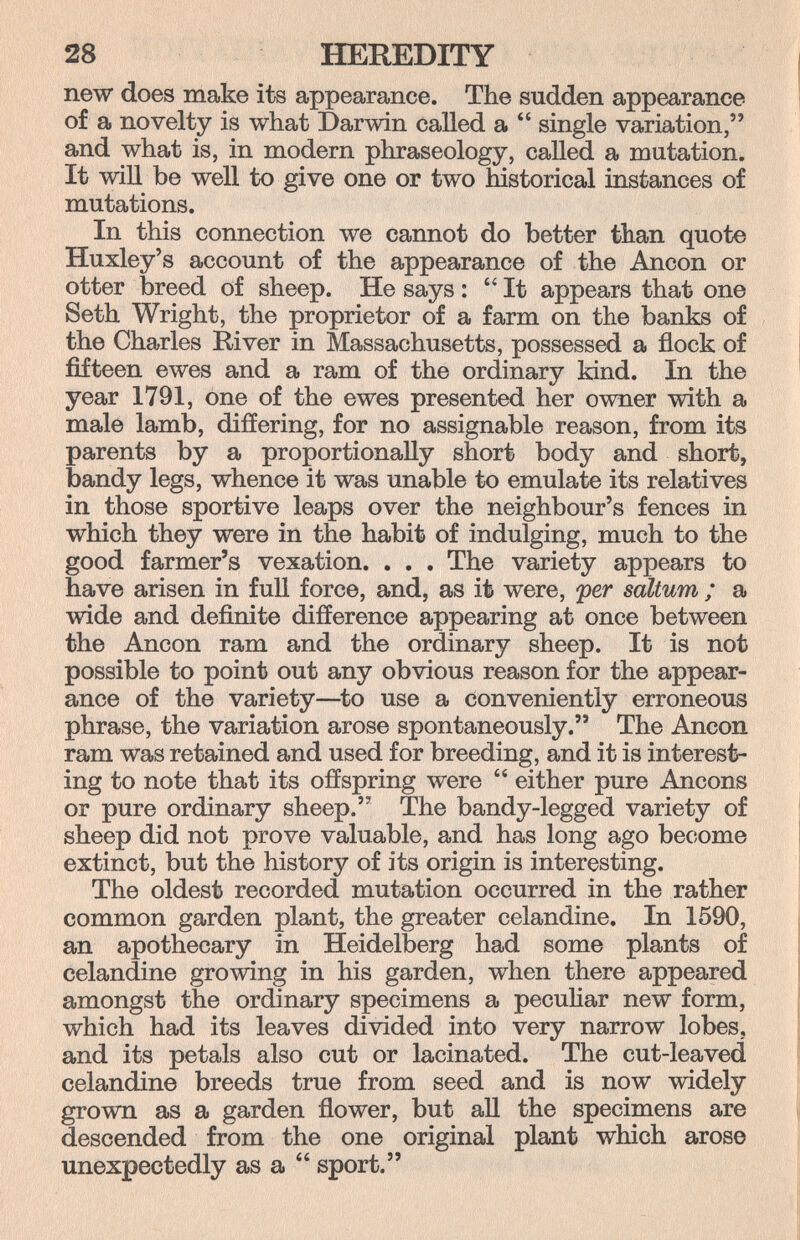 28 HEREDITY new does make its appearance. The sudden appearance of a novelty is what Darwin called a  single variation, and what is, in modern phraseology, called a mutation. It win be well to give one or two historical instances of mutations. In this connection we cannot do better than quote Huxley's account of the appearance of the Ancon or otter breed of sheep. He says :  It appears that one Seth Wright, the proprietor of a farm on the banks of the Charles River in Massachusetts, possessed a flock of fifteen ewes and a ram of the ordinary kind. In the year 1791, one of the ewes presented her owner with a male lamb, differing, for no assignable reason, from its parents by a proportionally short body and short, bandy legs, whence it was unable to emulate its relatives in those sportive leaps over the neighbour's fences in which they were in the habit of indulging, much to the good farmer's vexation. . . . The variety appears to have arisen in full force, and, as it were, 'per saltum ; a wide and definite difference appearing at once between the Ancon ram and the ordinary sheep. It is not possible to point out any obvious reason for the appear¬ ance of the variety—^to use a conveniently erroneous phrase, the variation arose spontaneously. The Ancon ram Was retained and used for breeding, and it is interest¬ ing to note that its offspring were  either pure Ancons or pure ordinary sheep. The bandy-legged variety of sheep did not prove valuable, and has long ago become extinct, but the history of its origin is interesting. The oldest recorded mutation occurred in the rather common garden plant, the greater celandine. In 1590, an apothecary in Heidelberg had some plants of celandine growing in his garden, when there appeared amongst the ordinary specimens a pecuHar new form, which had its leaves divided into very narrow lobes, and its petals also cut or lacinated. The cut-leaved celandine breeds true from seed and is now widely grown as a garden flower, but aU the specimens are descended from the one original plant which arose unexpectedly as a  sport.