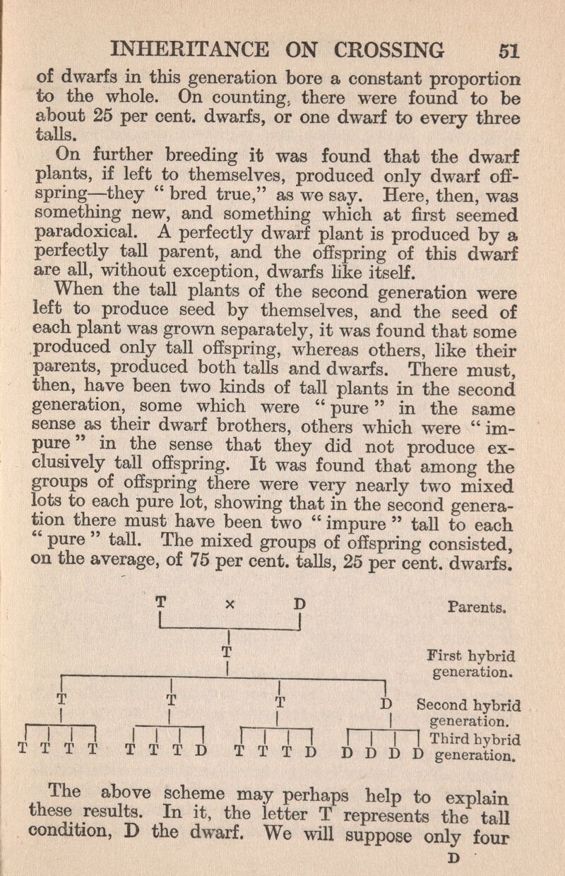 INHERITANCE ON CROSSING 51 of dwarfs in this generation bore a constant proportion to the whole. On countings there were found to be about 25 per cent, dwarfs, or one dwarf to every three talis. On further breeding it was found that the dwarf plants, if left to themselves, produced only dwarf off¬ spring—they  bred true, as we say. Here, then, was something new, and something which at first seemed paradoxical. A perfectly dwarf plant is produced by a perfectly taU parent, and the offspring of this dwarf are all, without exception, dwarfs like itself. When the tall plants of the second generation were left to produce seed by themselves, and the seed of each plant was grown separately, it was found that some produced only tall offspring, whereas others, like their parents, produced both tails and dwarfs. There must, then, have been two kinds of tall plants in the second generation, some which were  pure  in the same sense as their dwarf brothers, others which were  im¬ pure  in the sense that they did not produce ex¬ clusively tall offspring. It was found that among the groups of offspring there were very nearly two mixed lots to each pure lot, showing that in the second genera¬ tion there must have been two  impure  tall to each  pure  tall. The mixed groups of offspring consisted, on the average, of 75 per cent, tails, 25 per cent, dwarfs. T X D Parents. T First hybrid I  generation. I ^ i T T D Second hybrid I I I generation. , , 1 ГП I 1 ГП I 1 i 1 1 Third hybrid TTTT TTTD TTTD DDDD generation. The above scheme may perhaps help to explain these results. In it, the letter T represents the tall condition, D the dwarf. We will suppose only four D