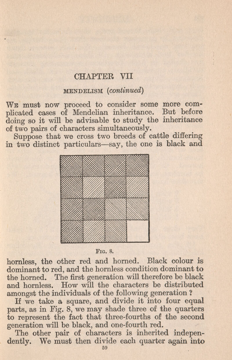 CHAPTER VII mendelism {continued) We must now proceed to consider some more com¬ plicated cases of Mendelian inheritance. But before doing so it will be advisable to study the inheritance of two pairs of characters simultaneously. Suppose that we cross two breeds of cattle differing in two distinct particulars—say, the one is black and Fig. 8. hornless, the other red and homed. Black colour is dominant to red, and the hornless condition dominant to the horned. The first generation will therefore be black and hornless. How will the characters be distributed amongst the individuals of the follomng generation ? If we take a square, and divide it into four equal parts, as in Fig. 8, we may shade three of the quarters to represent the fact that three-fourths of the second generation will be black, and one-fourth red. The other pair of characters is inherited indepen¬ dently. We must then divide each quarter again into 59