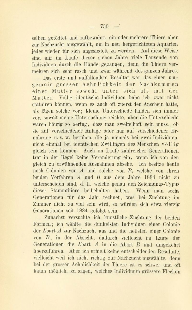 — 750 — selben getödtet und aufbewahrt, ein oder mehrere Thiere aber zur Nachzucht ausgewählt, um in neu hergerichteten Aquarien jedes wieder für sich angesiedelt zu werden. Auf diese Weise sind mir im Laufe dieser sieben Jahre viele Tausende von Individuen durch die Hände gegangen, denn die Thiere ver¬ mehren sich sehr rasch und zwar während des ganzen Jahres. Das erste und auffallendste Resultat war das einer un¬ gemein grossen Aehnlichkeit der Nachkommen einer Mutter sowohl unter sich als mit der Mutter. Völlig identische Individuen habe ich zwar nicht statuiren können, wenn es auch oft zuerst den Anschein hatte, als lägen solche vor; kleine Unterschiede fanden sich immer vor, soweit meine Untersuchung reichte, aber die Unterschiede waren häufig so gering, dass man zweifelhaft sein muss, ob sie auf verschiedener Anlage oder nur auf verschiedener Er¬ nährung u. s. w. beruhen, die ja niemals bei zwei Individuen, nicht einmal bei identischen Zwillingen des Menschen völlig gleich sein können. Auch im Laufe zahlreicher Generationen trat in der Regel keine Veränderung ein, wenn ich von den gleich zu erwähnenden Ausnahmen absehe. Ich besitze heute noch Colonien von Л und solche von Б, welche von ihren beiden Vorfahren А und В aus dem Jahre 1884 nicht zu unterscheiden sind, d. h. welche genau den Zeichnungs-Typus dieser Stammthiere beibehalten haben. Wenn man sechs Generationen für das Jahr rechnet, was bei Züchtung im Zimmer nicht zu viel sein wird, so würden sich etwa vierzig Generationen seit 1884 gefolgt sein. Zunächst versuchte ich künstliche Züchtung dei- beiden Formen; ich wählte die dunkelsten Individuen einer Colonie der Abart A zur Nachzucht aus und die hellsten einer Colonie von B, in der Absicht, dadurch vielleicht im Laufe der Generationen die Abart A in die Abart В und umgekehrt überzuführen. Aber ich erhielt keine entscheidenden Resultate, vielleicht weil ich nicht richtig zur Nachzucht auswählte, denn bei der grossen Aehnlichkeit der Thiere ist es schwer und oft kaum möglich, zu sagen, welches Individuum grössere Flecken