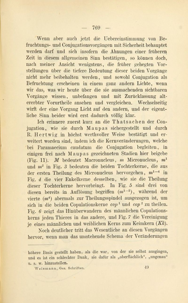 — 769 - Wenn aber auch jetzt die Uebereinstimniung von Be- fruchtungs- und Conjugationsvorgängen mit Sicherheit behauptet werden darf und sich insofern die Ahnungen einer früheren Zeit in diesem allgemeinen Sinn bestätigen, so können doch, nach meiner Ansicht wenigstens, die früher gehegten Vor¬ stellungen über die tiefere Bedeutung dieser beiden Vorgänge nicht mehr beibehalten werden, und sowohl Conjugation als Befruchtung erscheinen in einem ganz andern Lichte, wenn wir das, was wir heute über die sie ausmachenden sichtbaren Vorgänge wissen, unbefangen und mit Zurücklassung alt¬ ererbter Vorurtheile ansehen und vergleichen. Wechselseitig wirft der eine Vorgang Licht auf den andern, und der eigent¬ liche Sinn beider wird erst dadurch völlig klar. Ich erinnere zuerst kurz an die Thatsachen der Con¬ jugation, wie sie durch Maupas sichergestellt und durch R. Hertwig in höchst werthvoller Weise bestätigt und er¬ weitert worden sind, indem ich die Kernveränderungen, welche bei Paramaecium caudatum die Conjugation begleiten, in einigen frei nach Maupas gezeichneten Stadien hier beigebe (Fig. 11). M bedeutet Macronucleus, m Micronucleus, w} und in Fig. 3 bedeuten die beiden Tochterkerne, die aus der ersten Theilung des Micronucleus hervorgehen, in Fig. 4 die vier Enkelkerne desselben, wie sie die Theilung dieser Toehterkerne hervorbringt. In Fig. 5 sind drei von diesen bereits in Auflösung begriffen während der vierte (ш^) abermals zur Theilungsspindel ausgezogen ist, um sich in die beiden Copulationskerne сор ^ und сор ^ zu theilen. Fig. 6 zeigt das Hinüberwandern des männlichen Copulations- kems jeden Thieres in das andere, und Fig. ? die Vereinigung je eines männlichen und weiblichen Kerns zum Keimkern (KJc). Noch deutlicher tritt das Wesentliche an diesen Vorgängen hervor, wenn man das umstehende Schema der Veränderungen höhere Basis gestellt haben, als die war, von der sie selbst ausgingen, und es ist ein schlechter Dank, sie dafür als „oberflächlich, „ungenau u. s. w. hinzustellen. Weismann, Ges. Schriften. 49