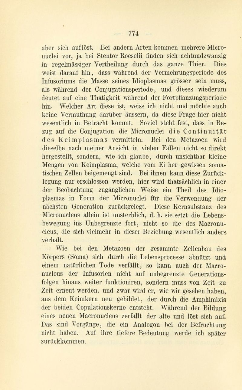 — 774 — aber sich auflöst. Bei andern Arten kommen mehrere Micro- nuclei vor, ja bei Stentor Koeselii finden sieh achtundzwanzig in regelmässiger Vertheilung durch das ganze Thier. Dies weist darauf hin, dass während der Vermehrungsperiode des Infiisoriums die Masse seines Idioplasmas grösser sein muss, als während der Conj'ugationsperiode, und dieses wiederum deutet auf eine Thätigkeit während der Fortpflanzungsperiode hin. Welcher Art diese ist, weiss ich nicht und möchte auch keine Vermuthung darüber äussern, da diese Frage hier nicht wesentlich in Betracht kommt. Soviel steht fest, dass in Be¬ zug auf die Conjugation die Micronuclei die Continuität des Keimplasmas vermitteln. Bei den Metazoen wird dieselbe nach meiner Ansicht in vielen Fällen nicht so direkt hergestellt, sondern, wie ich glaube, durch unsichtbar kleine Mengen von Keimplasma, welche vom Ei her gewissen soma¬ tischen Zellen beigemengt sind. Bei ihnen kann diese Zurück¬ legung nur erschlossen werden, hier wird thatsächlich in einer der Beobachtung zugänglichen Weise ein Theil des Idio¬ plasmas in Form der Micronuclei für die Verwendung der nächsten Generation zurückgelegt. Diese Kernsubstanz des Micronucleus allein ist unsterblich, d. h. sie setzt die Lebens¬ bewegung ins Unbegrenzte fort, nicht so die des Macronu- cleus, die sich vielmehr in dieser Beziehung wesentlich ander» verhält. Wie bei den Metazoen der gesammte Zellenbau des Körpers (Soma) sich durch die Lebensprocesse abnützt und einem natürlichen Tode verfällt, so kann auch der Macro- nucleus der Infusorien nicht auf unbegrenzte Generations¬ folgen hinaus weiter funktioniren, sondern muss von Zeit zu Zeit erneut werden, und zwar wird er, wie wir gesehen haben, aus dem Keimkern neu gebildet, der durch die Amphimixis der beiden Copulationskerne entsteht. Während der Bildung eines neuen Macronucleus zerfällt der alte und löst sich auf. Das sind Vorgänge, die ein Analogen bei der Befruchtung nicht haben. Auf ihre tiefere Bedeutung werde ich später zuilickkommen.