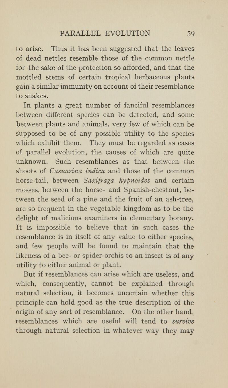 PARALLEL EVOLUTION 59 to arise. Thus it has been suggested that the leaves of dead nettles resemble those of the common nettle for the sake of the protection so afforded, and that the mottled stems of certain tropical herbaceous plants gain a similar immunity on account of their resemblance to snakes. In plants a great number of fanciful resemblances between different species can be detected, and some between plants and animals, very few of which can be supposed to be of any possible utility to the species which exhibit them. They must be regarded as cases of parallel evolution, the causes of which are quite unknown. Such resemblances as that between the shoots of Casuarina indica and those of the common horse-taü, between Saxifraga hypnoides and certain mosses, between the horse- and Spanish-chestnut, be¬ tween the seed of a pine and the fruit of an ash-tree, are so frequent in the vegetable kingdom as to be the delight of malicious examiners in elementary botany. It is impossible to believe that in such cases the resemblance is in itself of any value to either species, and few people will be found to maintain that the likeness of a bee- or spider-orchis to an insect is of any utility to either animal or plant. But if resemblances can arise which are useless, and which, consequently, cannot be explained through natural selection, it becomes uncertain whether this principle can hold good as the true description of the origin of any sort of resemblance. On the other hand, resemblances which are useful will tend to survive through natural selection in whatever way they may