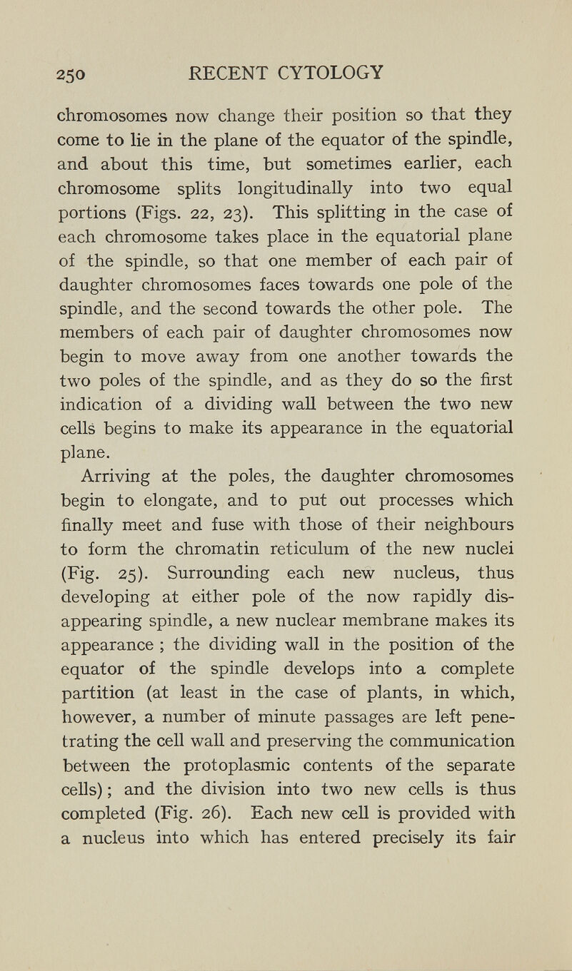 250 RECENT CYTOLOGY chromosomes now change their position so that they come to lie in the plane of the equator of the spindle, and about this time, but sometimes earlier, each chromosome splits longitudinally into two equal portions (Figs. 22, 23). This splitting in the case of each chromosome takes place in the equatorial plane of the spindle, so that one member of each pair of daughter chromosomes faces towards one pole of the spindle, and the second towards the other pole. The members of each pair of daughter chromosomes now begin to move away from one another towards the two poles of the spindle, and as they do so the first indication of a dividing wall between the two new cells begins to make its appearance in the equatorial plane. Arriving at the poles, the daughter chromosomes begin to elongate, and to put out processes which finally meet and fuse with those of their neighbours to form the chromatin reticulum of the new nuclei (Fig. 25). Surrounding each new nucleus, thus developing at either pole of the now rapidly dis¬ appearing spindle, a new nuclear membrane makes its appearance ; the dividing wall in the position of the equator of the spindle develops into a complete partition (at least in the case of plants, in which, however, a number of minute passages are left pene¬ trating the cell wall and preserving the communication between the protoplasmic contents of the separate cells) ; and the division into two new cells is thus completed (Fig. 26). Each new cell is provided with a nucleus into which has entered precisely its fair