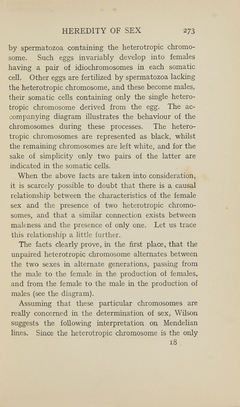 HEREDITY OF SEX 273 by spermatozoa containing the heterotropic chromo¬ some. Such eggs invariably develop into females having a pair of idiochromosomes in each somatic cell. Other eggs are fertilized by spermatozoa lacking the heterotropic chromosome, and these become males, their somatic cells containing only the single hetero¬ tropic chromosome derived from the egg. The ac¬ companying diagram illustrates the behaviour of the chromosomes during these processes. The hetero¬ tropic chromosomes are represented as black, whilst the remaining chromosomes are left white, and for the sake of simplicity only two pairs of the latter are indicated in the somatic cells. When the above facts are taken into consideration, it is scarcely possible to doubt that there is a causal relationship between the characteristics of the female sex and the presence of two heterotropic chromo¬ somes, and that a similar connection exists between maleness and the presence of only one. Let us trace this relationship a little further. The facts clearly prove, in the first place, that the unpaired heterotropic chromosome alternates between the two sexes in alternate generations, passing from the male to the female in the production of females, and from the female to the male in the production of males (see the diagram). Assuming that these particular chromosomes are really concerned in the determination of sex, Wilson suggests the following interpretation on Mendelian lines. Since the heterotropic chromosome is the only 18