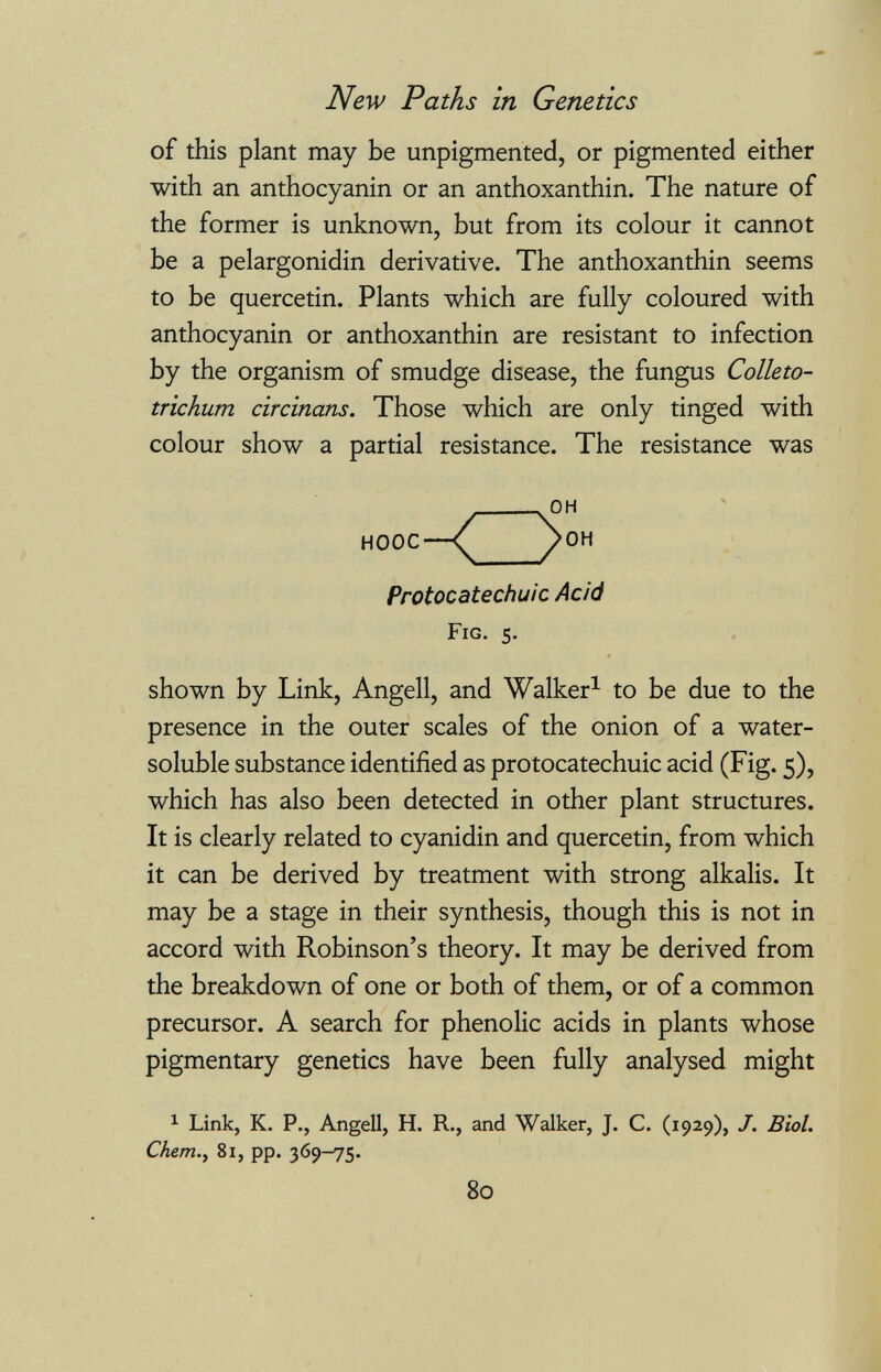 New Paths in Genetics of this plant may be unpigmented, or pigmented either with an anthocyanin or an anthoxanthin. The nature of the former is unknown, but from its colour it cannot be a pelargonidin derivative. The anthoxanthin seems to be quercetin. Plants which are fully coloured with anthocyanin or anthoxanthin are resistant to infection by the organism of smudge disease, the fungus Colleto¬ trichum circinans. Those which are only tinged with colour show a partial resistance. The resistance was shown by Link, Angeli, and Walker^ to be due to the presence in the outer scales of the onion of a water- soluble substance identified as protocatechuic acid (Fig. 5), which has also been detected in other plant structures. It is clearly related to cyanidin and quercetin, from which it can be derived by treatment with strong alkalis. It may be a stage in their synthesis, though this is not in accord with Robinson's theory. It may be derived from the breakdown of one or both of them, or of a common precursor. A search for phenolic acids in plants whose pigmentary genetics have been fully analysed might 1 Link, K. P., Angeli, H. R., and Walker, J. C. (1929), J. Biol. Chem.^ 81, pp. 369-75. HOOC—\ Protocatechuic Add Fig. 5. 80