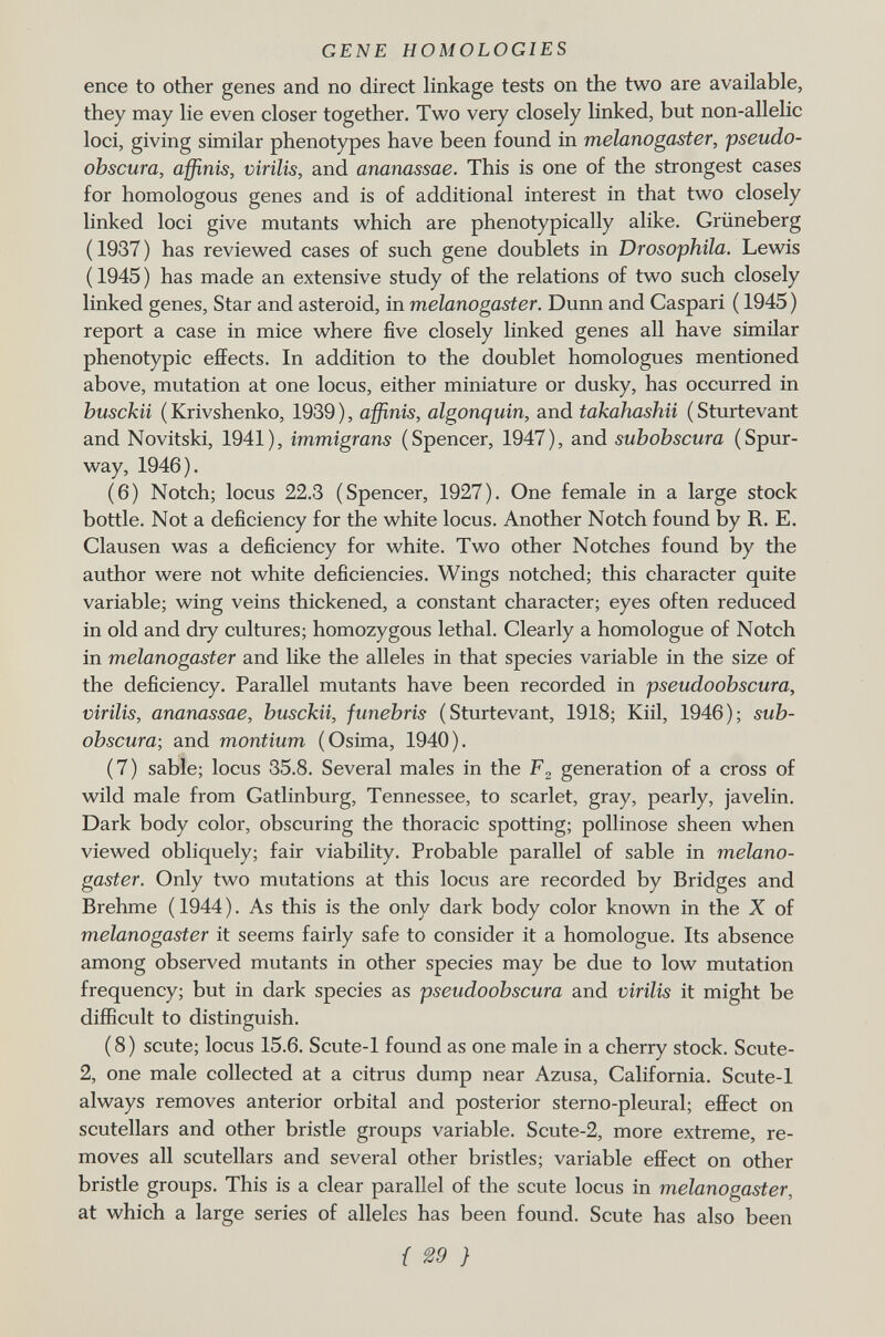 enee to other genes and no direct linkage tests on the two are available, they may lie even closer together. Two very closely linked, but non-allelic loci, giving similar phenotypes have been found in melanogaster, pseudo- obscura, affinis, virilis, and ananassae. This is one of the strongest cases for homologous genes and is of additional interest in that two closely linked loci give mutants which are phenotypically alike. Grüneberg (1937) has reviewed cases of such gene doublets in Drosophila. Lewis ( 1945 ) has made an extensive study of the relations of two such closely linked genes, Star and asteroid, in melanogaster. Dunn and Caspari ( 1945 ) report a case in mice where five closely linked genes all have similar phenotypic effects. In addition to the doublet homologues mentioned above, mutation at one locus, either miniature or dusky, has occurred in busckii ( Krivshenko, 1939 ), affinis, algonquin, and takahashii ( Sturtevant and Novitski, 1941), immigrans (Spencer, 1947), and subobscura (Spur- way, 1946). (6) Notch; locus 22.3 (Spencer, 1927). One female in a large stock bottle. Not a deficiency for the white locus. Another Notch found by R. E. Clausen was a deficiency for white. Two other Notches found by the author were not white deficiencies. Wings notched; this character quite variable; wing veins thickened, a constant character; eyes often reduced in old and dry cultures; homozygous lethal. Clearly a homologue of Notch in melanogaster and like the alleles in that species variable in the size of the deficiency. Parallel mutants have been recorded in pseudoobscura, virilis, ananassae, busckii, funebris (Sturtevant, 1918; Kiil, 1946); sub obscura; and montium (Osima, 1940). (7) sable; locus 35.8. Several males in the F 2 generation of a cross of wild male from Gatlinburg, Tennessee, to scarlet, gray, pearly, javelin. Dark body color, obscuring the thoracic spotting; pollinose sheen when viewed obliquely; fair viability. Probable parallel of sable in melano gaster. Only two mutations at this locus are recorded by Bridges and Brehme (1944). As this is the only dark body color known in the X of melanogaster it seems fairly safe to consider it a homologue. Its absence among observed mutants in other species may be due to low mutation frequency; but in dark species as pseudoobscura and virilis it might be difficult to distinguish. (8) scute; locus 15.6. Scute-1 found as one male in a cherry stock. Scute- 2, one male collected at a citrus dump near Azusa, California. Scute-1 always removes anterior orbital and posterior sterno-pleural; effect on scutellars and other bristle groups variable. Scute-2, more extreme, re moves all scutellars and several other bristles; variable effect on other bristle groups. This is a clear parallel of the scute locus in melanogaster, at which a large series of alleles has been found. Scute has also been