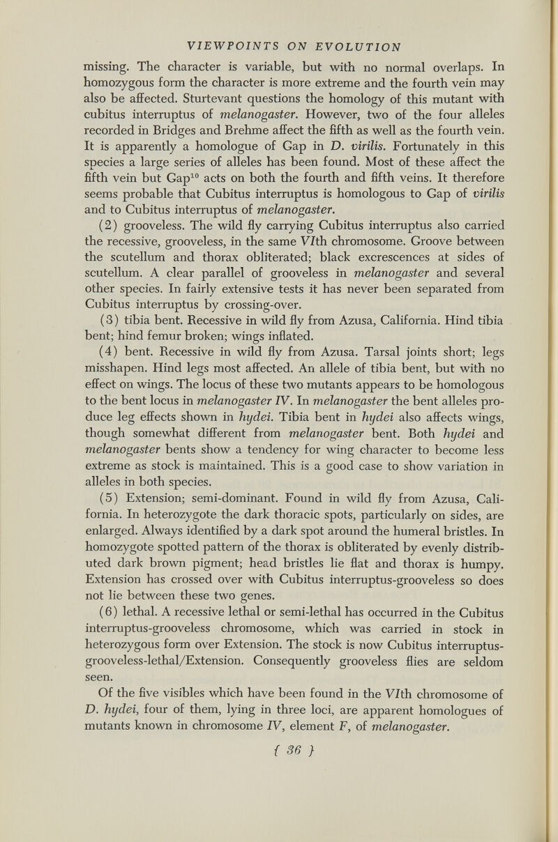 missing. The character is variable, but with no normal overlaps. In homozygous form the character is more extreme and the fourth vein may also be affected. Sturtevant questions the homology of this mutant with cubitus interruptus of melanogaster. However, two of the four alleles recorded in Bridges and Brehme affect the fifth as well as the fourth vein. It is apparently a homologue of Gap in D. virilis. Fortunately in this species a large series of alleles has been found. Most of these affect the fifth vein but Gap 10 acts on both the fourth and fifth veins. It therefore seems probable that Cubitus interruptus is homologous to Gap of virilis and to Cubitus interruptus of melanogaster. (2) grooveless. The wild fly carrying Cubitus interruptus also carried the recessive, grooveless, in the same VTth chromosome. Groove between the scutellum and thorax obliterated; black excrescences at sides of scutellum. A clear parallel of grooveless in melanogaster and several other species. In fairly extensive tests it has never been separated from Cubitus interruptus by crossing-over. ( 3 ) tibia bent. Recessive in wild fly from Azusa, California. Hind tibia bent; hind femur broken; wings inflated. (4) bent. Recessive in wild fly from Azusa. Tarsal joints short; legs misshapen. Hind legs most affected. An allele of tibia bent, but with no effect on wings. The locus of these two mutants appears to be homologous to the bent locus in melanogaster IV. In melanogaster the bent alleles pro duce leg effects shown in hydei. Tibia bent in hydei also affects wings, though somewhat different from melanogaster bent. Both hydei and melanogaster bents show a tendency for wing character to become less extreme as stock is maintained. This is a good case to show variation in alleles in both species. (5) Extension; semi-dominant. Found in wild fly from Azusa, Cali fornia. In heterozygote the dark thoracic spots, particularly on sides, are enlarged. Always identified by a dark spot around the humeral bristles. In homozygote spotted pattern of the thorax is obliterated by evenly distrib uted dark brown pigment; head bristles lie flat and thorax is humpy. Extension has crossed over with Cubitus interruptus-grooveless so does not lie between these two genes. (6) lethal. A recessive lethal or semi-lethal has occurred in the Cubitus interruptus-grooveless chromosome, which was carried in stock in heterozygous form over Extension. The stock is now Cubitus interruptus- grooveless-lethal/Extension. Consequently grooveless flies are seldom seen. Of the five visibles which have been found in the V/th chromosome of D. hydei, four of them, lying in three loci, are apparent homologues of mutants known in chromosome IV, element F, of melanogaster.