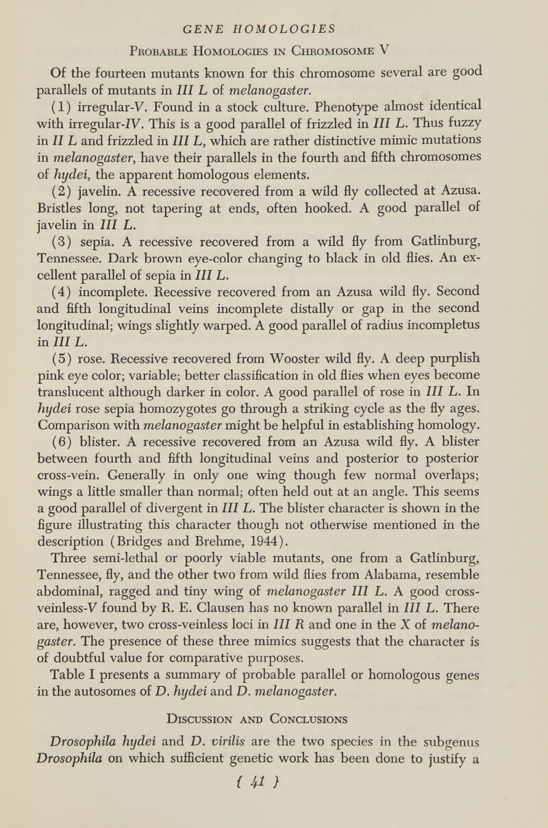 GENE HOMOLOGIES P robable H omologies in C hromosome V Of the fourteen mutants known for this chromosome several are good parallels of mutants in III L of melanogaster. (1) irregular-V. Found in a stock culture. Phenotype almost identical with irregular-ÍV. This is a good parallel of frizzled in III L. Thus fuzzy in II L and frizzled in III L, which are rather distinctive mimic mutations in melanogaster, have their parallels in the fourth and fifth chromosomes of hydei, the apparent homologous elements. (2) javelin. A recessive recovered from a wild fly collected at Azusa. Bristles long, not tapering at ends, often hooked. A good parallel of javelin in III L. (3) sepia. A recessive recovered from a wild fly from Gatlinburg, Tennessee. Dark brown eye-color changing to black in old flies. An ex cellent parallel of sepia in III L. (4) incomplete. Recessive recovered from an Azusa wild fly. Second and fifth longitudinal veins incomplete distally or gap in the second longitudinal; wings slightly warped. A good parallel of radius incompletus in III L. (5) rose. Recessive recovered from Wooster wild fly. A deep purplish pink eye color; variable; better classification in old flies when eyes become translucent although darker in color. A good parallel of rose in III L. In hydei rose sepia homozygotes go through a striking cycle as the fly ages. Comparison with melanogaster might be helpful in establishing homology. (6) blister. A recessive recovered from an Azusa wild fly. A blister between fourth and fifth longitudinal veins and posterior to posterior cross-vein. Generally in only one wing though few normal overlaps; wings a little smaller than normal; often held out at an angle. This seems a good parallel of divergent in III L. The blister character is shown in the figure illustrating this character though not otherwise mentioned in the description (Bridges and Brehme, 1944). Three semi-lethal or poorly viable mutants, one from a Gatlinburg, Tennessee, fly, and the other two from wild flies from Alabama, resemble abdominal, ragged and tiny wing of melanogaster III L. A good cross- veinless-V found by R. E. Clausen has no known parallel in III L. There are, however, two cross-veinless loci in III R and one in the X of melano gaster. The presence of these three mimics suggests that the character is of doubtful value for comparative purposes. Table I presents a summary of probable parallel or homologous genes in the autosomes of D. hydei and D. melanogaster. D iscussion and C onclusions Drosophila hydei and D. virilis are the two species in the subgenus Drosophila on which sufficient genetic work has been done to justify a