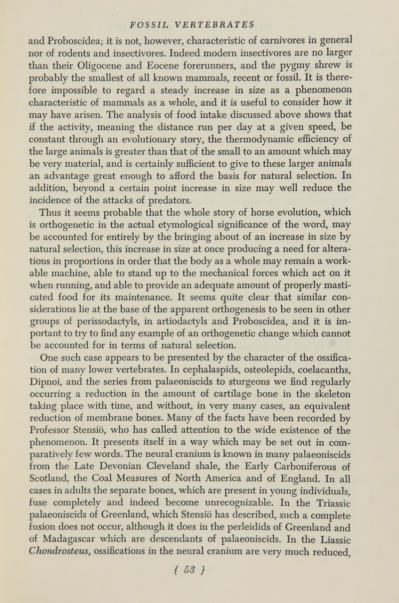 and Proboscidea; it is not, however, characteristic of carnivores in general nor of rodents and insectivores. Indeed modern insectivores are no larger than their Oligocene and Eocene forerunners, and the pygmy shrew is probably the smallest of all known mammals, recent or fossil. It is there fore impossible to regard a steady increase in size as a phenomenon characteristic of mammals as a whole, and it is useful to consider how it may have arisen. The analysis of food intake discussed above shows that if the activity, meaning the distance run per day at a given speed, be constant through an evolutionary story, the thermodynamic efficiency of the large animals is greater than that of the small to an amount which may be very material, and is certainly sufficient to give to these larger animals an advantage great enough to afford the basis for natural selection. In addition, beyond a certain point increase in size may well reduce the incidence of the attacks of predators. Thus it seems probable that the whole story of horse evolution, which is orthogenetic in the actual etymological significance of the word, may be accounted for entirely by the bringing about of an increase in size by natural selection, this increase in size at once producing a need for altera tions in proportions in order that the body as a whole may remain a work able machine, able to stand up to the mechanical forces which act on it when running, and able to provide an adequate amount of properly masti cated food for its maintenance. It seems quite clear that similar con siderations lie at the base of the apparent orthogenesis to be seen in other groups of perissodactyls, in artiodactyls and Proboscidea, and it is im portant to try to find any example of an orthogenetic change which cannot be accounted for in terms of natural selection. One such case appears to be presented by the character of the ossifica tion of many lower vertebrates. In cephalaspids, osteolepids, coelacanths, Dipnoi, and the series from palaeoniscids to sturgeons we find regularly occurring a reduction in the amount of cartilage bone in the skeleton taking place with time, and without, in very many cases, an equivalent reduction of membrane bones. Many of the facts have been recorded by Professor Stensiö, who has called attention to the wide existence of the phenomenon. It presents itself in a way which may be set out in com paratively few words. The neural cranium is known in many palaeoniscids from the Late Devonian Cleveland shale, the Early Carboniferous of Scotland, the Coal Measures of North America and of England. In all cases in adults the separate bones, which are present in young individuals, fuse completely and indeed become unrecognizable. In the Triassic palaeoniscids of Greenland, which Stensiö has described, such a complete fusion does not occur, although it does in the perleidids of Greenland and of Madagascar which are descendants of palaeoniscids. In the Liassic Chondrosteus, ossifications in the neural cranium are very much reduced,