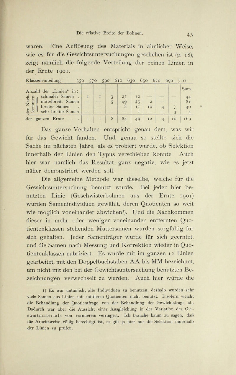 Die relative Breite der Bohnen. 43 waren. Eine Auflösung des Materials in ähnlicher Weise, wie es für die Gewichtsuntersuchungen geschehen ist (p. i8), zeigt nämlich die folgende Verteilung der reinen Linien in der Ernte 1901. Klasseneinteilung: 550 570 590 610 630 650 670 690 710 Anzahl der ,,Linien in : с / schmaler Samen g mittelbreit Samen ^ S tí о breiter Samen sehr breiter Samen 27 49 8 I 2 25 II I 2 10 Sum. 44 81 40 4 •der ganzen Ernte 84 49 12 10 169 Das ganze Verhalten entspricht genau dem, was wir für das Gewicht fanden. Und genau so stellte sich die Sache im nächsten Jahre, als es probiert wurde, ob Selektion innerhalb der Linien den Typus verschieben konnte. Auch hier war nämlich das Resultat ganz negativ, wie es jetzt näher demonstriert werden soll. Die allgemeine Methode war dieselbe, welche für die Gewichtsuntersuchung benutzt wurde. Bei jeder hier be¬ nutzten Linie (Geschwisterbohnen aus der Ernte 1901) wurden Samenindividuen gewählt, deren Quotienten so weit wie möglich voneinander abwichen^). Und die Nachkommen ■dieser in mehr oder weniger voneinander entfernten Quo¬ tientenklassen stehenden Muttersamen wurden sorgfältig für sich gehalten. Jeder Samen träger wurde für sich geerntet, und die Samen nach Messung und Korrektion wieder in Quo¬ tientenklassen rubriziert. Es wurde mit im ganzen 12 Linien gearbeitet, mit den Doppelbuchstaben AA bis MM bezeichnet, um nicht mit den bei der Gewichtsuntersuchung benutzten Be¬ zeichnungen verwechselt zu werden. Auch hier würde die i) Es war untunlich, alle Induviduen zu benutzen, deshalb wurden sehr -viele Samen aus Linien mit mittleren Quotienten nicht benutzt. Insofern weicht -d.ie Behandlung der Quotientfrage von der Behandlung der Gewichtsfrage ab. Dadurch war aber die Aussicht einer Ausgleichung in der Variation des Ge- :samtmaterials von vornherein verringert. Ich brauche kaum zu sagen, daß 4Íie Arbeitsweise völlig berechtigt ist^ es gilt ja hier nur die Selektion innerhalb ■der Linien zu prüfen.