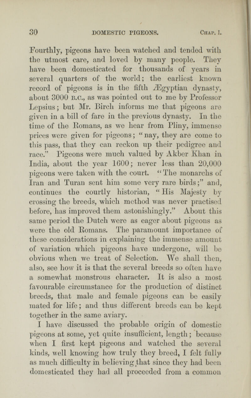 30 DOMESTIC PIGEONS CiiAP. L Fonrtbly, pigeons have been watched and tended with the utmost care, and loved by many people. They have been domesticated for thousands of years in several quarters of the world ; the earliest known record of pigeons is in the fifth Лîîgyptian dynasty, about 3000 B.c., as was pointed out to me by Professor Lepsius ; but Mr. Birch informs me that pigeons are given in a bill of fare in the previous dynasty. In the time of the Ivomans, as we hear from Pliny, immense prices were given for pigeons ;  nay, they are come to tliis pass, that they can reckon up their pedigree and race. Pigeons were much valued by Akber Khan in. India, about the year IGOO ; never less than 20,000 pigeons were taken with the court. ''The monarchs of Iran and Turan sent him some very rare birds and, continues the courtly historian,  His Majesty by crossing the breeds, which method was never practised before, has improved them astonishingly. About this same period the Dutch were as eager about pigeons as were the old Romans. The paramount importance of these considerations in explaining the immense amount of variation which pigeons have undergone, will be obvious when луе treat of Selection. We shall then, also, see how it is that the several breeds so often have a somewhat monstrous character. It is also a most favourable circumstance for the production of distinct breeds, that male and female pigeons can be easily mated for life ; and thus different breeds can be kept together in the same aviary. I have discussed the probable origin of domestic pigeons at some, yet quite insufficient, length ; because when I first kept pigeons and watched the several kinds, well knowing how truly they breed, I felt full}« as much difficulty in believing that since they had been domesticated they liad all proceeded from a common