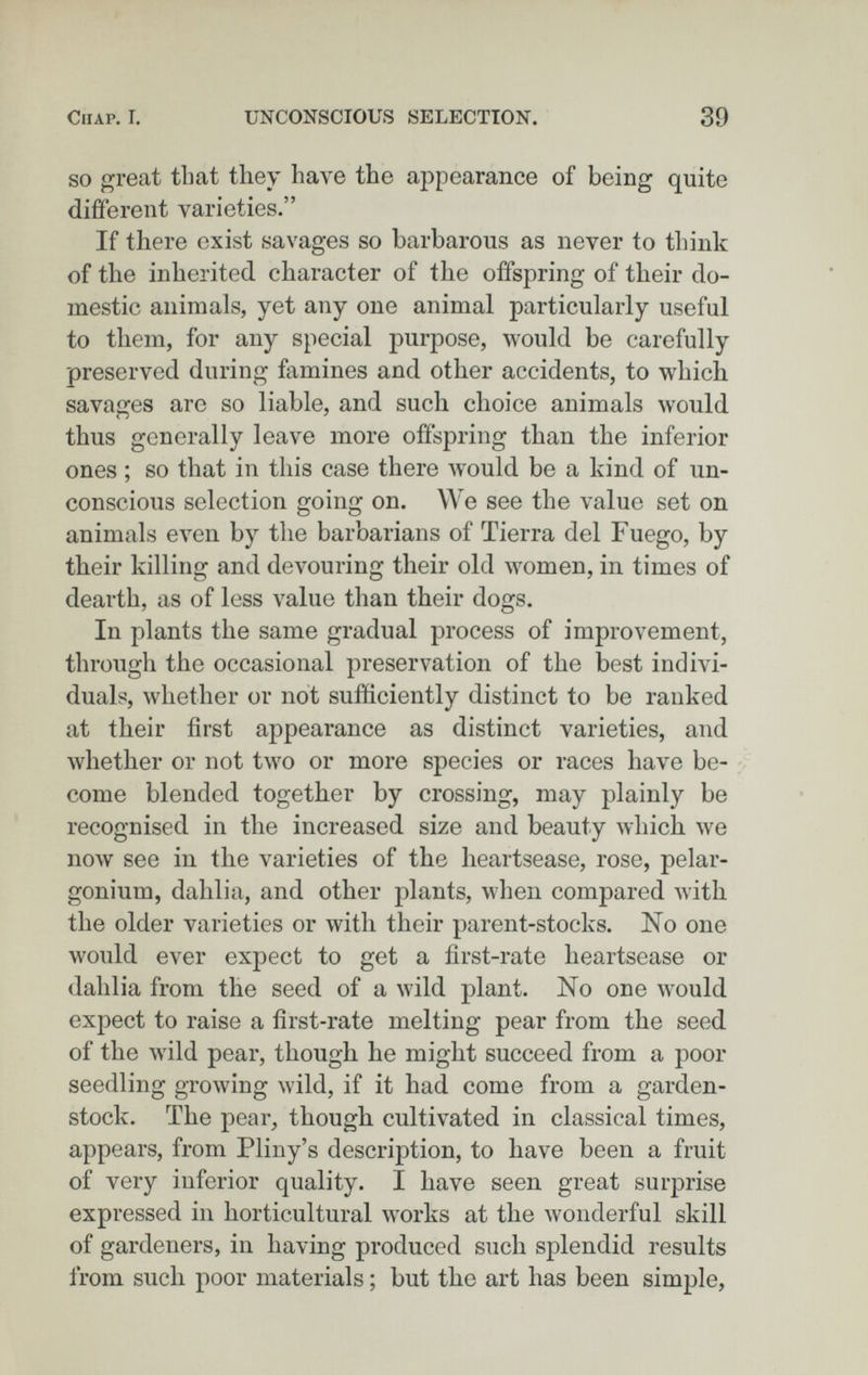 Chap. I. UNCONSCIOUS SELECTION. 39 SO great that they have the appearance of being quite different varieties. If there exist savages so barbarous as never to think of the inherited character of the offspring of their do¬ mestic animals, yet any one animal particularly useful to them, for any special purpose, would be carefully preserved during famines and other accidents, to which savages are so liable, and such choice animals would thus generally leave more offspring than the inferior ones ; so that in this case there would be a kind of un¬ conscious selection going on. We see the value set on animals even by the barbarians of Tierra del Fuego, by their killing and devouring their old луотеп, in times of dearth, as of less value than their dogs. In plants the same gradual process of improvement, through the occasional preservation of the best indivi¬ duals, whether or not sufficiently distinct to be ranked at their first appearance as distinct varieties, and whether or not two or more species or races have be¬ come blended together by crossing, may plainly be recognised in the increased size and beauty which we ПОЛУ see in the varieties of the heartsease, rose, pelar¬ gonium, dahlia, and other plants, when compared with the older varieties or with their parent-stocks. No one would ever expect to get a first-rate heartsease or dahlia from the seed of a wild plant. No one would expect to raise a first-rate melting pear from the seed of the wild pear, though he might succeed from a poor seedling growing wild, if it had come from a garden- stock. The pear, though cultivated in classical times, appears, from Pliny's description, to have been a fruit of very inferior quality. I have seen great surprise expressed in horticultural works at the wonderful skill of gardeners, in having produced such splendid results from such poor materials ; but the art has been simple.