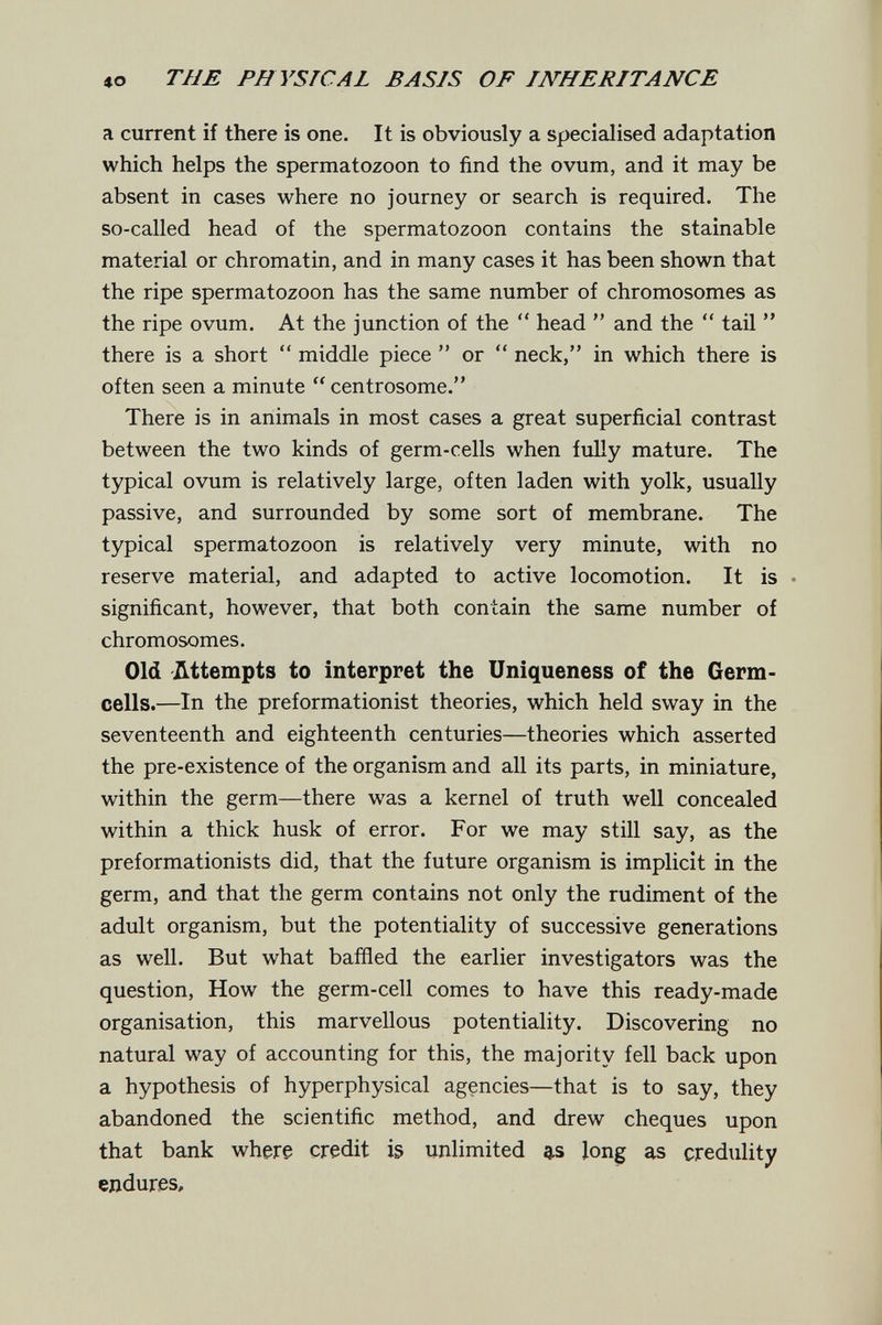 «о TUE PHYSICAL BASIS OF INHERITANCE a current if there is one. It is obviously a specialised adaptation which helps the spermatozoon to find the ovum, and it may be absent in cases where no journey or search is required. The so-called head of the spermatozoon contains the stainable material or chromatin, and in many cases it has been shown that the ripe spermatozoon has the same number of chromosomes as the ripe ovum. At the junction of the  head  and the  tail  there is a short  middle piece  or  neck, in which there is often seen a minute  centrosome. There is in animals in most cases a great superficial contrast between the two kinds of germ-cells when fully mature. The typical ovum is relatively large, often laden with yolk, usually passive, and surrounded by some sort of membrane. The typical spermatozoon is relatively very minute, with no reserve material, and adapted to active locomotion. It is • significant, however, that both contain the same number of chromosomes. Old Attempts to interpret the Uniqueness of the Germ- cells.—In the preformationist theories, which held sway in the seventeenth and eighteenth centuries—theories which asserted the pre-existence of the organism and all its parts, in miniature, within the germ—there was a kernel of truth well concealed within a thick husk of error. For we may still say, as the preformationists did, that the future organism is implicit in the germ, and that the germ contains not only the rudiment of the adult organism, but the potentiality of successive generations as well. But what baffled the earlier investigators was the question. How the germ-cell comes to have this ready-made organisation, this marvellous potentiality. Discovering no natural way of accounting for this, the majority fell back upon a hypothesis of hyperphysical agencies—that is to say, they abandoned the scientific method, and drew cheques upon that bank where credit is unlimited q.s long as credulity endures.