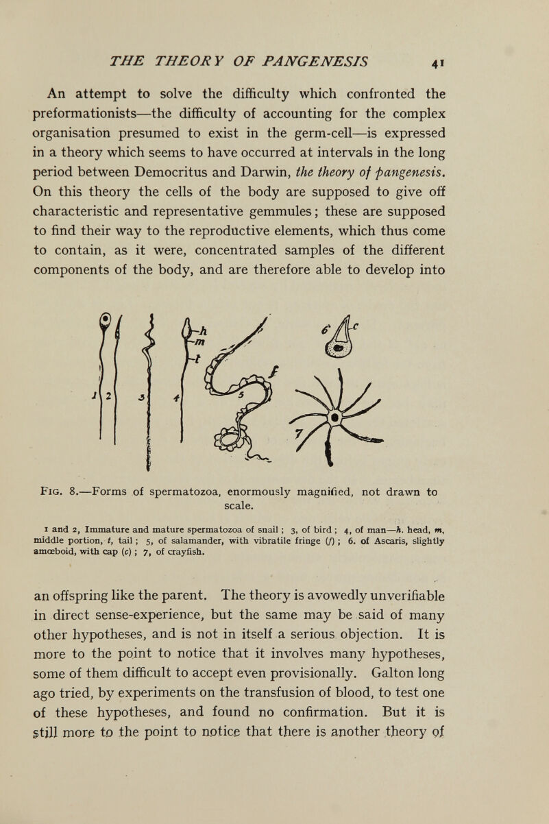 THE THEORY OF PANGENESIS An attempt to solve the difficulty which confronted the preformationists—the difficulty of accounting for the complex organisation presumed to exist in the germ-cell—is expressed in a theory which seems to have occurred at intervals in the long period between Democritus and Darwin, the theory of pangenesis. On this theory the cells of the body are supposed to give off characteristic and representative gemmules ; these are supposed to find their way to the reproductive elements, which thus come to contain, as it were, concentrated samples of the different components of the body, and are therefore able to develop into Fig. 8.—Forms of spermatozoa, enormously magnified, not drawn to I and 2, Immature and mature spermatozoa of snail ; 3, of bird ; 4, of man—A. head, m, middle portion, t, tail ; 5, of salamander, with vibratile fringe (/) ; 6. of Ascaris, slightly amoeboid, with cap (c) ; 7, of crayfish. an offspring like the parent. The theory is avowedly unverifiable in direct sense-experience, but the same may be said of many other hypotheses, and is not in itself a serious objection. It is more to the point to notice that it involves many hypotheses, some of them difficult to accept even provisionally. Galton long ago tried, by experiments on the transfusion of blood, to test one of these hypotheses, and found no confirmation. But it is gtill more to the point to notice that there is another theory qí scale.