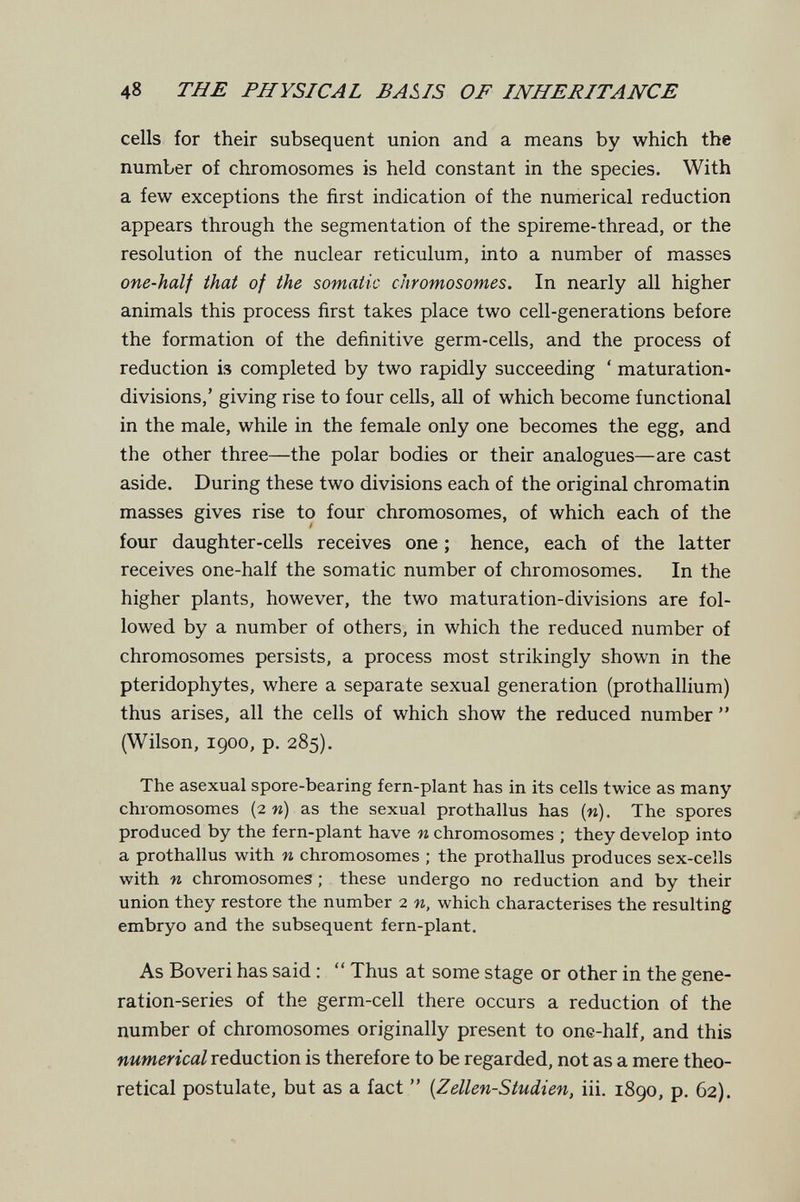 48 THE PHYSICAL BASIS OF INHERITANCE cells for their subsequent union and a means by which the number of chromosomes is held constant in the species. With a few exceptions the first indication of the numerical reduction appears through the segmentation of the spireme-thread, or the resolution of the nuclear reticulum, into a number of masses one-half that of the somatic chromosomes. In nearly all higher animals this process first takes place two cell-generations before the formation of the definitive germ-cells, and the process of reduction is completed by two rapidly succeeding ' maturation- divisions,' giving rise to four cells, all of which become functional in the male, while in the female only one becomes the egg, and the other three—the polar bodies or their analogues—are cast aside. During these two divisions each of the original chromatin masses gives rise to four chromosomes, of which each of the four daughter-cells receives one ; hence, each of the latter receives one-half the somatic number of chromosomes. In the higher plants, however, the two maturation-divisions are fol¬ lowed by a number of others, in which the reduced number of chromosomes persists, a process most strikingly shown in the pteridophytes, where a separate sexual generation (prothallium) thus arises, all the cells of which show the reduced number  (Wilson, 1900, p. 285). The asexual spore-bearing fern-plant has in its cells twice as many chromosomes (2 w) as the sexual prothallus has (w). The spores produced by the fern-plant have n chromosomes ; they develop into a prothallus with n chromosomes ; the prothallus produces sex-cells with n chromosomes ; these undergo no reduction and by their union they restore the number 2 n, which characterises the resulting embryo and the subsequent fern-plant. As Bo veri has said :  Thus at some stage or other in the gene¬ ration-series of the germ-cell there occurs a reduction of the number of chromosomes originally present to one-half, and this numerical reduction is therefore to be regarded, not as a mere theo¬ retical postulate, but as a fact  [Zellen-Studien, iii. 1890, p. 62).