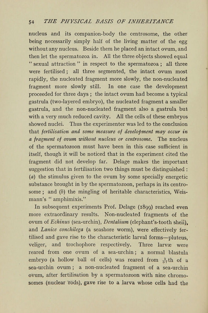 54 THE PHYSICAL BASIS OF INHERITANCE nucleus and its companion-body the centrosome, the other being necessarily simply half of the living matter of the egg without any nucleus. Beside them he placed an intact ovum, and then let the spermatozoa in. All the three objects showed equal  sexual attraction  in respect to the spermatozoa ; all three were fertilised ; all three segmented, the intact ovum most rapidly, the nucleated fragment more slowly, the non-nucleated fragment more slowly still. In one case the development proceeded for three days ; the intact ovum had become a typical gastrula (two-layered embryo), the nucleated fragment a smaller gastrula, and the non-nucleated fragment also a gastrula but with a very much reduced cavity. All the cells of these embryos showed nuclei. Thus the experimenter was led to the conclusion that fertilisation and some measure of development may occur in a fragment of ovum without nucleus or centrosome. The nucleus of the spermatozoon must have been in this case sufficient in itself, though it will be noticed that in the experiment cited the fragment did not develop far. Delage makes the important suggestion that in fertilisation two things must be distinguished : {a) the stimulus given to the ovum by some specially energetic substance brought in by the spermatozoon, perhaps in its centro¬ some ; and (Ô) the mingling of heritable characteristics, Weis- mann's  amphimixis. In subsequent experiments Prof. Delage (1899) reached even more extraordinary results. Non-nucleated fragments of the ovum of Echinus (sea-urchin), Dentalium (elephant's-tooth sheii), and Lanice conchilega (a seashore worm), were effectively fer¬ tilised and gave rise to the characteristic larval forms—pluteus, veliger, and trochophore respectively. Three larvae were reared from one ovum of a sea-urchin ; a normal blastula embryo (a hollow ball of cells) was reared from ^^yth of a sea-urchin ovum ; a non-nucleated fragment of a sea-urchin ovum, after fertilisation by a spermatozoon with nine chromo¬ somes (nuclear Tods), gave rise to a larva whose cells had the