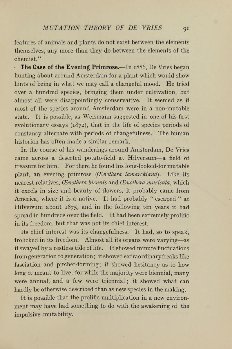 MUTATION THEORY OF DE VRIES gì features of animals and plants do not exist between the elements themselves, any more than they do between the elements of the chemist. • The Case of the Evening Primrose.—In 1886, De Vries began hunting about around Amsterdam for a plant which would show hints of being in what we may call a changeful mood. He tried over a hundred species, bringing them under cultivation, but almost all were disappointingly conservative. It seemed as if most of the species around Amsterdam were in a non-mutable state. It is possible, as Weismann suggested in one of his first evolutionary essays (1872), that in the life of species periods of constancy alternate with periods of changefulness. The human historian has often made a similar remark. In the course of his wanderings around Amsterdam, De Vries came across a deserted potato-field at Hilversum—a field of treasure for him. For there he found his long-looked-for mutable plant, an evening primrose {Œnothera lamarchiana). Like its nearest relatives, Œnothera biennis and Œnothera muricata, which it excels in size and beauty of flowers, it probably came from America, where it is a native. It had probably  escaped  at Hilversum about 1875, and in the following ten years it had spread in hundreds over the field. It had been extremely prolific in its freedom, but that was not its chief interest. Its chief interest was its changefulness. It had, so to speak, frolicked in its freedom. Almost all its organs were varying-—as if swayed by a restless tide of life. It showed minute fluctuations from generation to generation ; it showed extraordinary freaks like fasciation and pitcher-forming ; it showed hesitancy as to how long it meant to live, for while the majority were biennial, many were annual, and a few were triennial ; it showed what can hardly be otherwise described than as new species in the making. It is possible that the prolific multiplication in a new environ¬ ment may have had something to do with the awakening of the impulsive mutability.