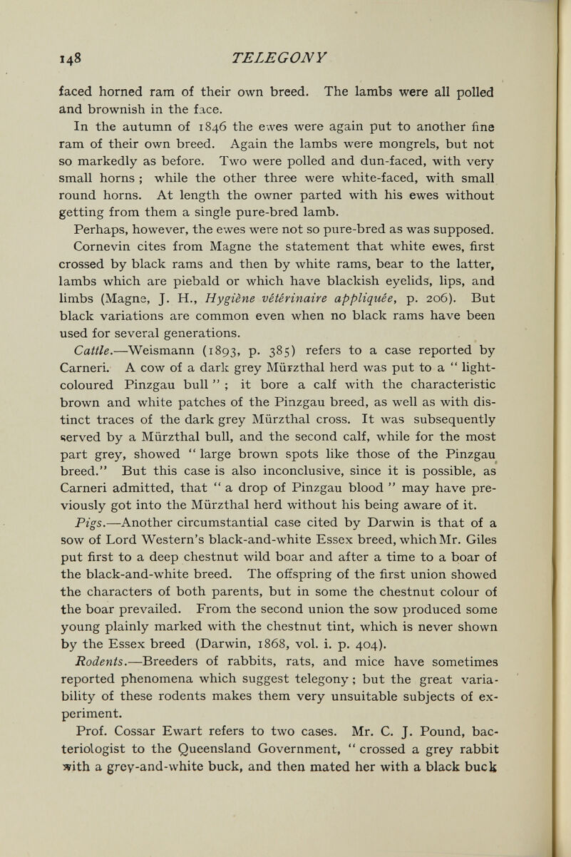 148 TELEGONY faced horned ram of their own breed. The lambs were all polled and brownish in the face. In the autumn of 1846 the ewes were again put to another fine ram of their own breed. Again the lambs were mongrels, but not so markedly as before. Two were polled and dun-faced, with very small horns ; while the other three were white-faced, with small round horns. At length the owner parted with his ewes without getting from them a single pure-bred lamb. Perhaps, however, the ewes were not so pure-bred as was supposed. Cornevin cites from Magne the statement that white ewes, first crossed by black rams and then by white rams, bear to the latter, lambs which are piebald or which have blackish eyelids, lips, and limbs (Magne, J. H., Hygiène vétérinaire appliquée, p. 206). But black variations are common even when no black rams have been used for several generations. Cattle.—Weismann (1893, P- 385) refers to a case reported by Carneri. A cow of a dark grey Miirzthal herd was put to a  light- coloured Pinzgau bull  ; it bore a calf with the characteristic brown and white patches of the Pinzgau breed, as well as with dis¬ tinct traces of the dark grey Miirzthal cross. It was subsequently 4erved by a Miirzthal bull, and the second calf, while for the most part grey, showed  large brown spots like those of the Pinzgau breed. But this case is also inconclusive, since it is possible, as Carneri admitted, that  a drop of Pinzgau blood  may have pre¬ viously got into the Miirzthal herd without his being aware of it. Pigs.—Another circumstantial case cited by Darwin is that of a sow of Lord Western's black-and-white Essex breed, which Mr. Giles put first to a deep chestnut wild boar and after a time to a boar of the black-and-white breed. The offspring of the first union showed the characters of both parents, but in some the chestnut colour of the boar prevailed. From the second union the sow produced some young plainly marked with the chestnut tint, which is never shown by the Essex breed (Darwin, 1868, vol. i. p. 404). Rodents.—Breeders of rabbits, rats, and mice have sometimes reported phenomena which suggest telegony ; but the great varia¬ bility of these rodents makes them very unsuitable subjects of ex¬ periment. Prof. Cossar Ewart refers to two cases. Mr. C. J. Pound, bac¬ teriologist to the Queensland Government,  crossed a grey rabbit with a grey-and-white buck, and then mated her with a black bucli