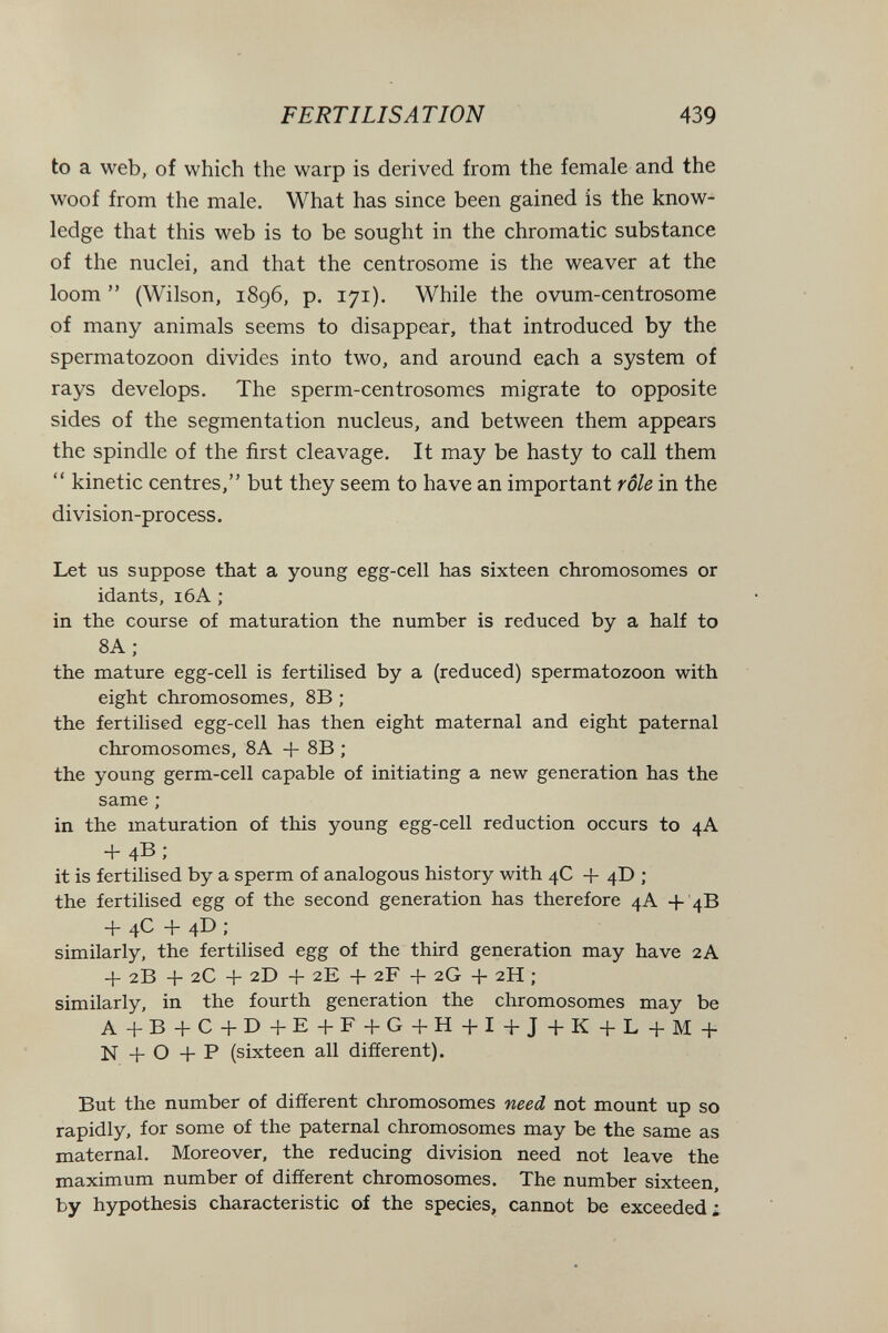 FERTILISATION 439 to a web, of which the warp is derived from the female and the woof from the male. What has since been gained is the know¬ ledge that this web is to be sought in the chromatic substance of the nuclei, and that the centrosome is the weaver at the loom  (Wilson, 1896, p. 171). While the ovum-centrosome of many animals seems to disappear, that introduced by the spermatozoon divides into two, and around each a system of rays develops. The sperm-centrosomes migrate to opposite sides of the segmentation nucleus, and between them appears the spindle of the first cleavage. It may be hasty to call them  kinetic centres, but they seem to have an important rôle in the division-process. Let us suppose that a young egg-cell has sixteen chromosomes or idants, 16A ; in the course of maturation the number is reduced by a half to 8A ; the mature egg-cell is fertilised by a (reduced) spermatozoon with eight chromosomes, 8B ; the fertilised egg-cell has then eight maternal and eight paternal chromosomes, 8A + 8B ; the young germ-cell capable of initiating a new generation has the same ; in the maturation of this young egg-cell reduction occurs to 4A + 4B > it is fertilised by a sperm of analogous history with 4C + 4D ; the fertilised egg of the second generation has therefore 4A -b 4B + 4^ b 4^ • similarly, the fertilised egg of the third generation may have 2A -f 2B + 2C 4- 2D + 2E -f- 2F H- 2G -f 2H ; similarly, in the fourth generation the chromosomes may be A-fB-fC-l-D+E-bF+G-fH-M-l-J+K-i-L+M-1- N + О -f P (sixteen all different). But the number of different chromosomes need not mount up so rapidly, for some of the paternal chromosomes may be the same as maternal. Moreover, the reducing division need not leave the maximum number of different chromosomes. The number sixteen, by hypothesis characteristic of the species, cannot be exceeded: