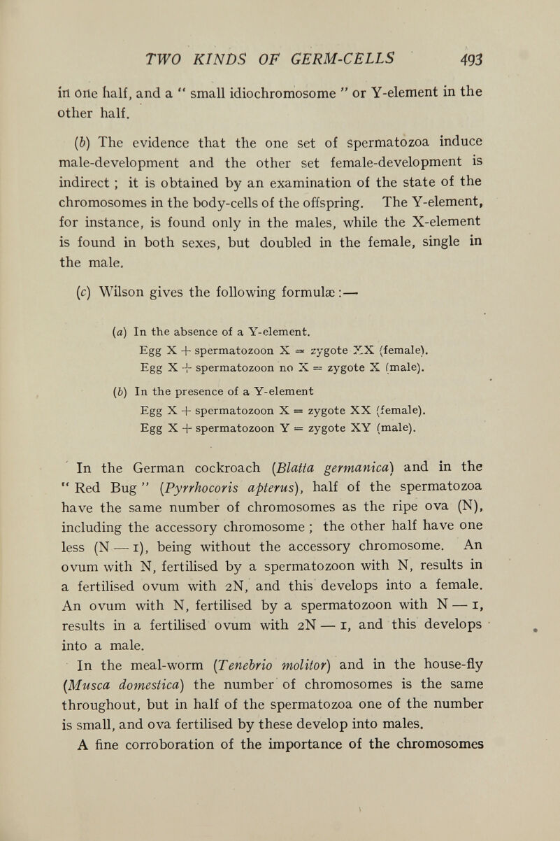 TWO KINDS OF GERM-CELLS 493 in one half, and a  small idiochromosome  or Y-element in the other half. (b) The evidence that the one set of spermatozoa induce male-development and the other set female-development is indirect ; it is obtained by an examination of the state of the chromosomes in the body-cells of the offspring. The Y-element, for instance, is found only in the males, while the X-element is found in both sexes, but doubled in the female, single in the male, (c) Wilson gives the following formulai: — (a) In the absence of a Y-element. Egg X -f- spermatozoon X =« zygote XX (female). Egg X spermatozoon no X = zygote X (male). (b) In the presence of a Y-element Egg X + spermatozoon X = zygote XX (female). Egg X + spermatozoon Y = zygote XY (male). In the German cockroach {Blatta germanica) and in the  Red Bug  {Pyrrhocoris apterus), half of the spermatozoa have the same number of chromosomes as the ripe ova (N), including the accessory chromosome ; the other half have one less (N — i), being without the accessory chromosome. An ovum with N, fertilised by a spermatozoon with N, results in a fertilised ovum with 2N, and this develops into a female. An ovum with N, fertilised by a spermatozoon with N — i, results in a fertilised ovum with 2N — i, and this develops into a male. In the meal-worm {Tenebria molitor) and in the house-fly [Musca domestica) the number of chromosomes is the same throughout, but in half of the spermatozoa one of the number is small, and ova fertilised by these develop into males. A fine corroboration of the importance of the chromosomes