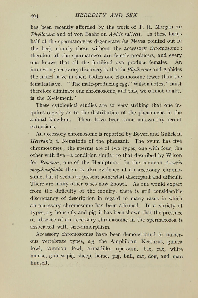 494 HEREDITY AND SEX has been recently afforded by the work of T. H. Morgan on Phylloxera and of von Baehr on Aphis saliceti. In these forms half of the spermatocytes degenerate (as Meves pointed out in the bee), namely those without the accessory chromosome ; therefore all the spermatozoa are female-producers, and every one knows that all the fertilised ova produce females. An interesting accessory discovery is that in Phylloxera and Aphides the males have in their bodies one chromosome fewer than the females have.  The male-producing egg, Wilson notes,  must therefore eliminate one chromosome, and this, we cannot doubt, is the X-element. These cytological studies are so very striking that one in¬ quires eagerly as to the distribution of the phenomena in the animal kingdom. There have been some noteworthy recent extensions. An accessory chromosome is reported by Boveri and Gulick in Heterakis, a Nematode of the pheasant. The ovum has five chromosomes ; the sperms are of two types, one with four, the other with five—a condition similar to that described by Wilson for Protenor, one of the Hemiptera. In the common Ascaris megalocephala there is also evidence of an accessory chromo¬ some, but it seems at present somewhat discrepant and difíicult. There are many other cases now known. As one would expect from the difiiculty of the inquiry, there is still considerable discrepancy of description in regard to many cases in which an accessory chromosome has been affirmed. In a variety of types, e.g. house-fly and pig, it has been shown that the presence or absence of an accessory chromosome in the spermatozoa is associated with size-dimorphism. Accessory chromosomes have been demonstrated in numer¬ ous vertebrate types, e.g. the Amphibian Necturus, guinea fowl, common fowl, armadillo, opossum, bat, rat, white mouse, guinea-pig, sheep, horse, pig, bull, cat, dog, and man himself.