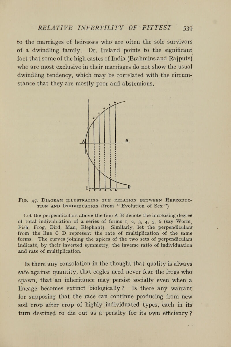 RELATIVE INFERTILITY OF FITTEST 539 to the marriages of heiresses who are often the sole survivors of a dwindling family. Dr. Ireland points to the significant fact that some of the high castes of India (Brahmins and Rajputs) who are most exclusive in their marriages do not show the usual dwindling tendency, which may be correlated with the circum¬ stance that they are mostly poor and abstemious. Fig. 47. Diagram illustrating the relation between Reproduc¬ tion and Individuation (from  Evolution of Sex ) Let the perpendiculars above the line A В denote the increasing degree of total individuation of a series of forms i, 2, 3, 4, 5, 6 (say Worm^ Fish, Frog, Bird, Man, Elephant). Similarly, let the perpendiculars' from the line С D represent the rate of multiplication of the same forms. The curves joining the apices of the two sets of perpendiculars indicate, by their inverted symmetry, the inverse ratio of individuation and rate of multiplication. Is there any consolation in the thought that quality is always safe against quantity, that eagles need never fear the frogs who spawn, that an inheritance may persist socially even when a lineage becomes extinct biologically ? Is there any warrant for supposing that the race can continue producing from new soil crop after crop of highly individuated types, each in its turn destined to die out as a penalty for its own efficiency ?