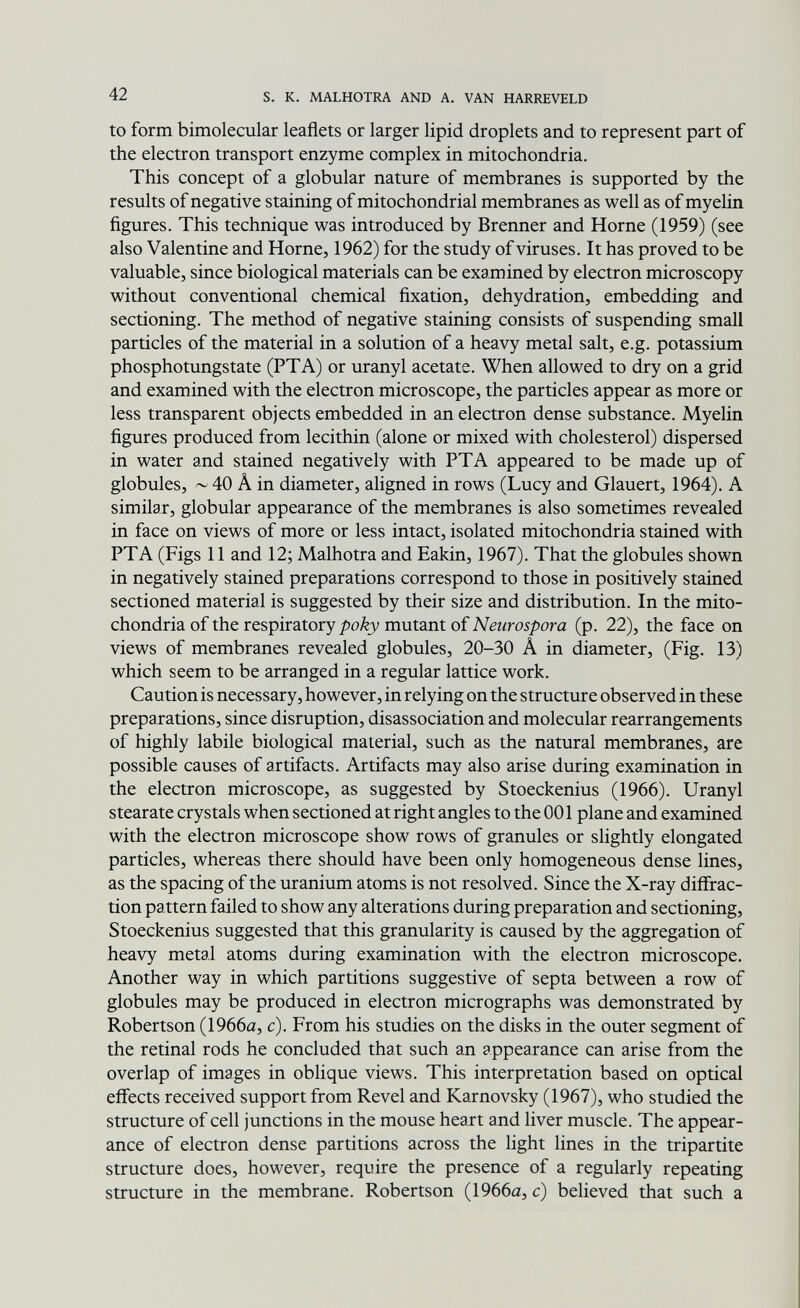 42 s. к. MALHOTRA AND A. VAN HARREVELD to form bimolecular leaflets or larger lipid droplets and to represent part of the electron transport enzyme complex in mitochondria. This concept of a globular nature of membranes is supported by the results of negative staining of mitochondrial membranes as well as of myelin figures. This technique was introduced by Brenner and Home (1959) (see also Valentine and Home, 1962) for the study of viruses. It has proved to be valuable, since biological materials can be examined by electron microscopy without conventional chemical fixation, dehydration, embedding and sectioning. The method of negative staining consists of suspending small particles of the material in a solution of a heavy metal salt, e.g. potassium phosphotungstate (PTA) or uranyl acetate. When allowed to dry on a grid and examined with the electron microscope, the particles appear as more or less transparent objects embedded in an electron dense substance. Myelin figures produced from lecithin (alone or mixed with cholesterol) dispersed in water and stained negatively with PTA appeared to be made up of globules, ~ 40 Â in diameter, aligned in rows (Lucy and dauert, 1964). A similar, globular appearance of the membranes is also sometimes revealed in face on views of more or less intact, isolated mitochondria stained with PTA (Figs 11 and 12; Malhotra and Eakin, 1967). That the globules shown in negatively stained preparations correspond to those in positively stained sectioned material is suggested by their size and distribution. In the mito¬ chondria of the respiratorymutant of (p. 22), the face on views of membranes revealed globules, 20-30 A in diameter, (Fig. 13) which seem to be arranged in a regular lattice work. Caution is necessary, however, in relying on the structure observed in these preparations, since disruption, disassociation and molecular rearrangements of highly labile biological material, such as the natural membranes, are possible causes of artifacts. Artifacts may also arise during examination in the electron microscope, as suggested by Stoeckenius (1966). Uranyl stearate crystals when sectioned at right angles to the 001 plane and examined with the electron microscope show rows of granules or slightly elongated particles, whereas there should have been only homogeneous dense lines, as the spacing of the uranium atoms is not resolved. Since the X-ray diffrac¬ tion pattern failed to show any alterations during preparation and sectioning, Stoeckenius suggested that this granularity is caused by the aggregation of heavy metal atoms during examination with the electron microscope. Another way in which partitions suggestive of septa between a row of globules may be produced in electron micrographs was demonstrated by Robertson (1966a, c). From his studies on the disks in the outer segment of the retinal rods he concluded that such an appearance can arise from the overlap of images in oblique views. This interpretation based on optical effects received support from Revel and Karnovsky (1967), who studied the structure of cell junctions in the mouse heart and liver muscle. The appear¬ ance of electron dense partitions across the light lines in the tripartite structure does, however, require the presence of a regularly repeating structure in the membrane. Robertson (1966a, c) believed that such a