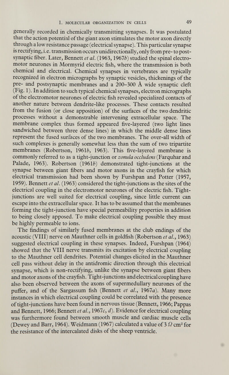 1. MOLECULAR ORGANIZATION IN CELLS 49 generally recorded in chemically transmitting synapses. It was postulated that the action potential of the giant axon stimulates the motor axon directly through a low resistance passage (electrical synapse). This particular synapse is rectifying, i.e. transmission occurs unidirectionally, only from pre- to post¬ synaptic fiber. Later, Bennett et al. (1963, \9ЫЪ) studied the spinal electro¬ motor neurones in Mormyrid electric fish, where the transmission is both chemical and electrical. Chemical synapses in vertebrates are typically recognized in electron micrographs by synaptic vesicles, thickenings of the pre- and postsynaptic membranes and a 200-300 Â wide synaptic cleft (Fig. 1). In addition to such typical chemical synapses, electron micrographs of the electromotor neurones of electric fish revealed specialized contacts of another nature between dendrite-like processes. These contacts resulted from the fusion (or close apposition) of the surfaces of the two dendritic processes without a demonstrable intervening extracellular space. The membrane complex thus formed appeared five-layered (two light lines sandwiched between three dense lines) in which the middle dense lines represent the fused surfaces of the two membranes. The over-all width of such complexes is generally somewhat less than the sum of two tripartite membranes (Robertson, 1961 è, 1963). This five-layered membrane is commonly referred to as a tight-junction or zonula occludens (Farquhar and Palade, 1963). Robertson (1961 è) demonstrated tight-junctions at the synapse between giant fibers and motor axons in the crayfish for which electrical transmission had been shown by Furshpan and Potter (1957, 1959). Bennett et al. (1963) considered the tight-junctions as the sites of the electrical coupling in the electromotor neurones of the electric fish. Tight- junctions are well suited for electrical coupling, since little current can escape into the extracellular space. It has to be assumed that the membranes forming the tight-junction have special permeability properties in addition to being closely apposed. To make electrical coupling possible they must be highly permeable to ions. The findings of similarly fused membranes at the club endings of the acoustic (VIII) nerve on Mauthner cells in goldfish (Robertson et al.^ 1963) suggested electrical coupling in these synapses. Indeed, Furshpan (1964) showed that the VIII nerve transmits its excitation by electrical coupling to the Mauthner cell dendrites. Potential changes elicited in the Mauthner cell pass without delay in the antidromic direction through this electrical synapse, which is non-rectifying, unlike the synapse between giant fibers and motor axons of the crayfish. Tight-junctions and electrical coupling have also been observed between the axons of supermedullary neurones of the puffer, and of the Sargassum fish (Bennett et al., 1967a). Many more instances in which electrical coupling could be correlated with the presence of tight-junctions have been found in nervous tissue (Bennett, 1966; Pappas and Bennett, 1966; Bennett et ah, 1967c, d). Evidence for electrical coupling was furthermore found between smooth muscle and cardiac muscle cells (Dewey and Barr, 1964). Weidmann (1967) calculated a value of 3 ß cm- for the resistance of the intercalated disks of the sheep ventricle.