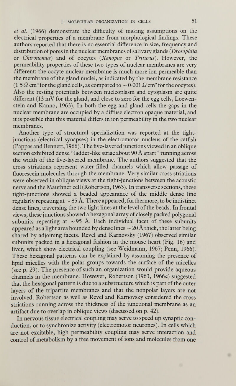 1, MOLECULAR ORGANIZATION IN CELLS 51 et al. (1966) demonstrate the difficulty of making assumptions on the electrical properties of a membrane from morphological findings. These authors reported that there is no essential difference in size, frequency and distribution of pores in the nuclear membranes of salivary glands {Drosophila or Chironomus) and of oocytes (Xenopus or Triturus). However, the permeability properties of these two types of nuclear membranes are very different: the oocyte nuclear membrane is much more ion permeable than the membrane of the gland nuclei, as indicated by the membrane resistance (1-5 Q cm^ for the gland cells, as compared to ~ 0-001Q cm^ for the oocytes). Also the resting potentials between nucleoplasm and cytoplasm are quite different (13 mV for the gland, and close to zero for the egg cells. Loe wen- stein and Kanno, 1963). In both the egg and gland cells the gaps in the nuclear membrane are occupied by a diffuse electron opaque material, and it is possible that this material differs in ion permeability in the two nuclear membranes. Another type of structural specialization was reported at the tight- junctions (electrical synapses) in the electromotor nucleus of the catfish (Pappas and Bennett, 1966). The five-layered junctions viewed in an oblique section exhibited dense ladder-like striae about 90 Â apart running across the width of the five-layered membrane. The authors suggested that the cross striations represent water-filled channels which allow passage of ñuorescein molecules through the membrane. Very similar cross striations were observed in oblique views at the tight-junctions between the acoustic nerve and the Mauthner cell (Robertson, 1963). In transverse sections, these tight-junctions showed a beaded appearance of the middle dense line regularly repeating at ~ 85 Â. There appeared, furthermore, to be indistinct dense lines, traversing the two light lines at the level of the beads. In frontal views, these junctions showed a hexagonal array of closely packed polygonal subunits repeating at ^95 Â. Each individual facet of these subunits appeared as a light area bounded by dense lines ~ 20 Â thick, the latter being shared by adjoining facets. Revel and Karnovsky (1967) observed similar subunits packed in a hexagonal fashion in the mouse heart (Fig. 16) and liver, which show electrical coupling (see Weidmann, 1967; Penn, 1966). These hexagonal patterns can be explained by assuming the presence of lipid micelles with the polar groups towards the surface of the micelles (see p. 29). The presence of such an organization would provide aqueous channels in the membrane. However, Robertson (1963, 1966a) suggested that the hexagonal pattern is due to a substructure which is part of the outer layers of the tripartite membranes and that the nonpolar layers are not involved. Robertson as well as Revel and Karnovsky considered the cross striations running across the thickness of the junctional membrane as an artifact due to overlap in oblique views (discussed on p. 42), In nervous tissue electrical coupling may serve to speed up synaptic con¬ duction, or to synchronize activity (electromotor neurones). In cells which are not excitable, high permeabiHty coupling may serve interaction and control of metabolism by a free movement of ions and molecules from one